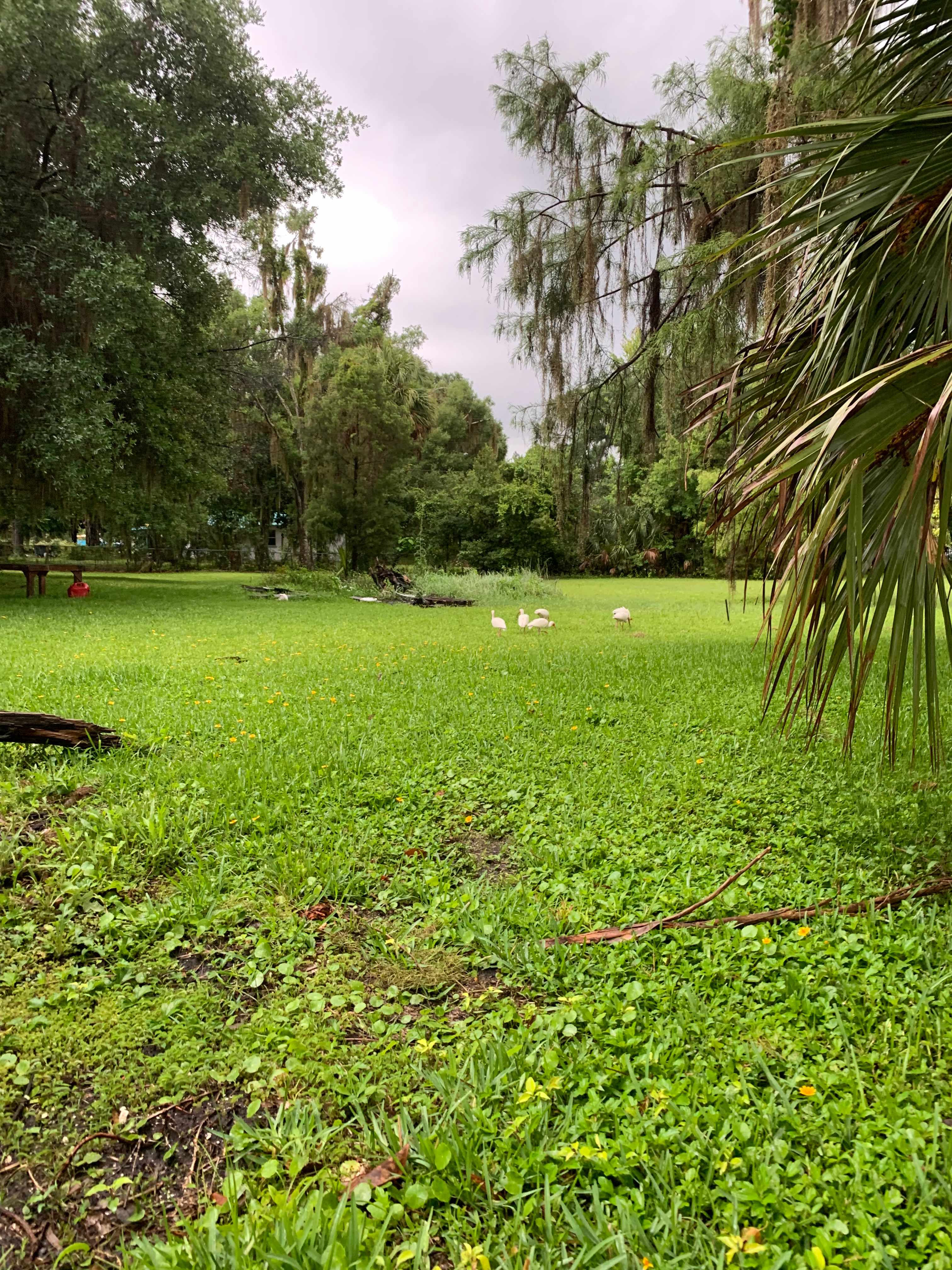 Paradise Lake  Rousseau ,Fl