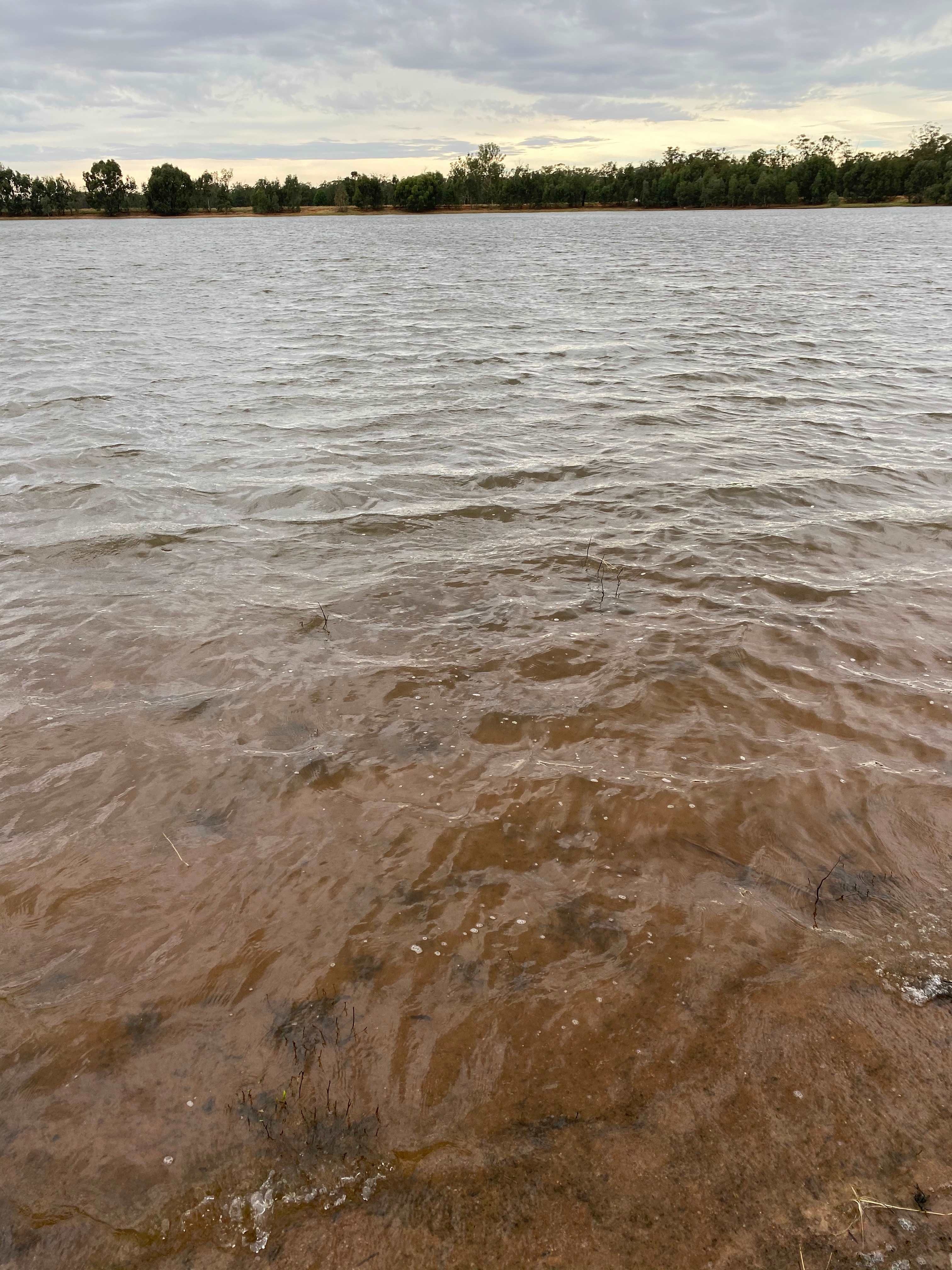 Mirrool Creek, Lake Abortree