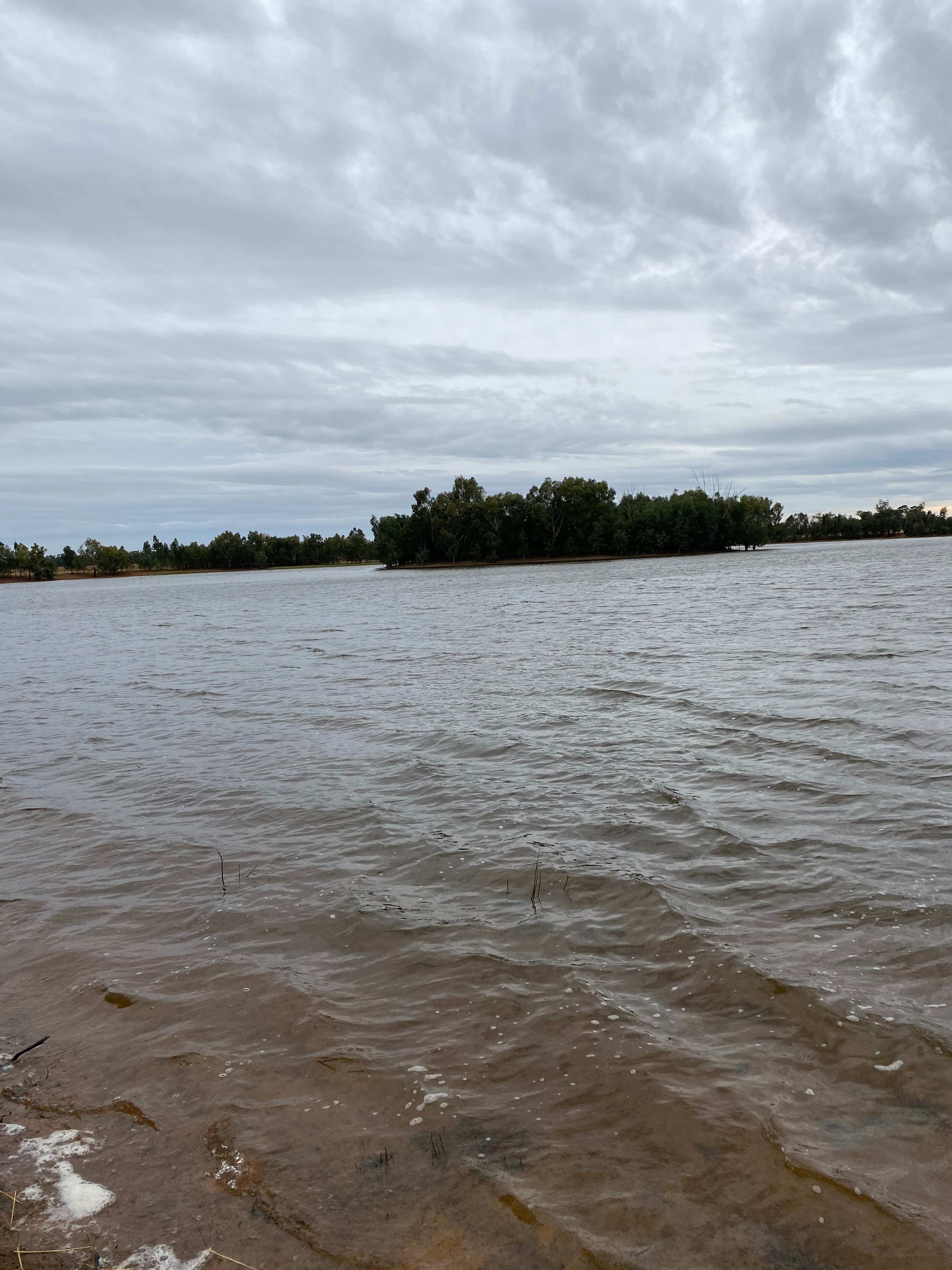 Mirrool Creek, Lake Abortree