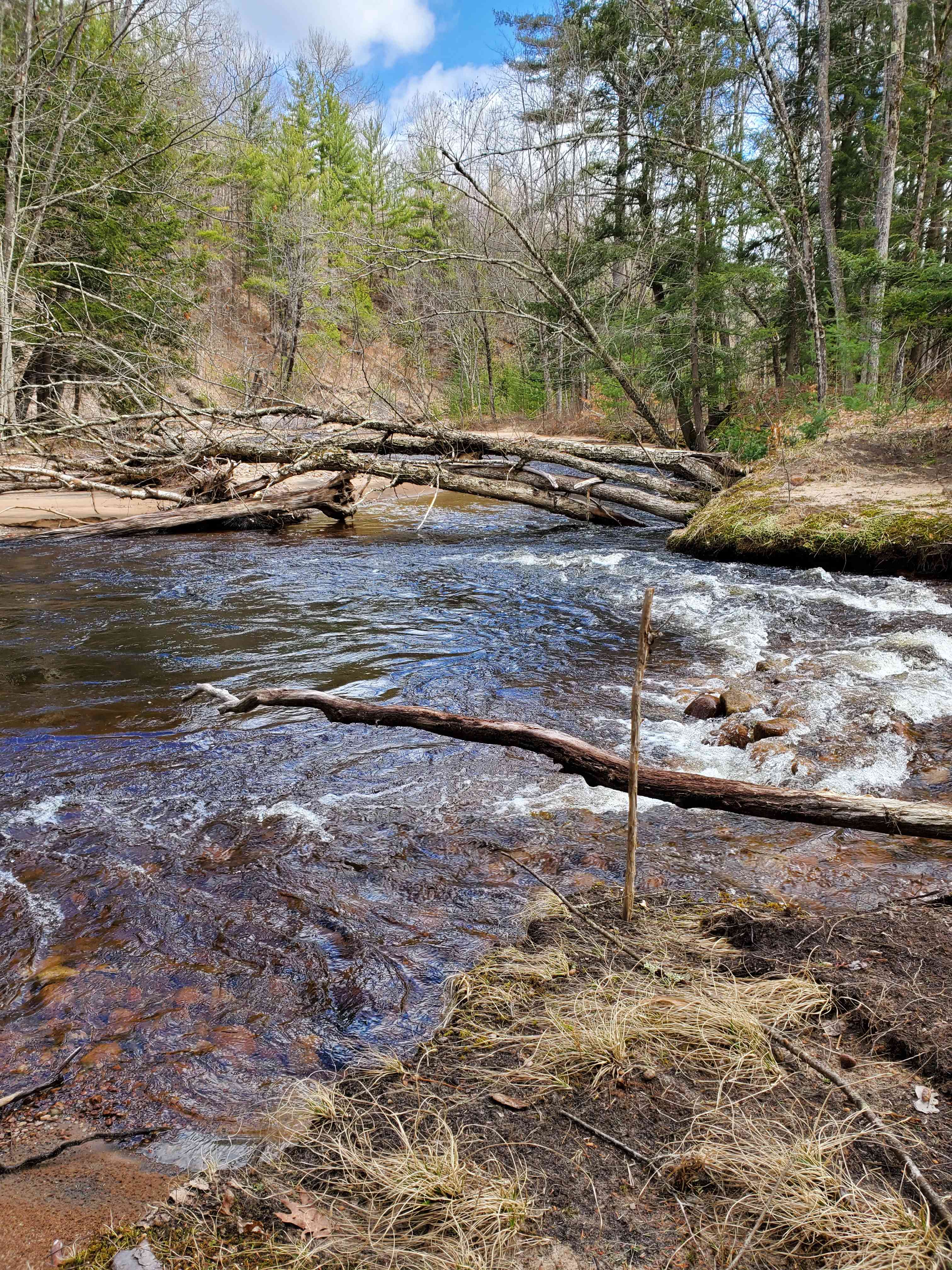 Little brookie lodge