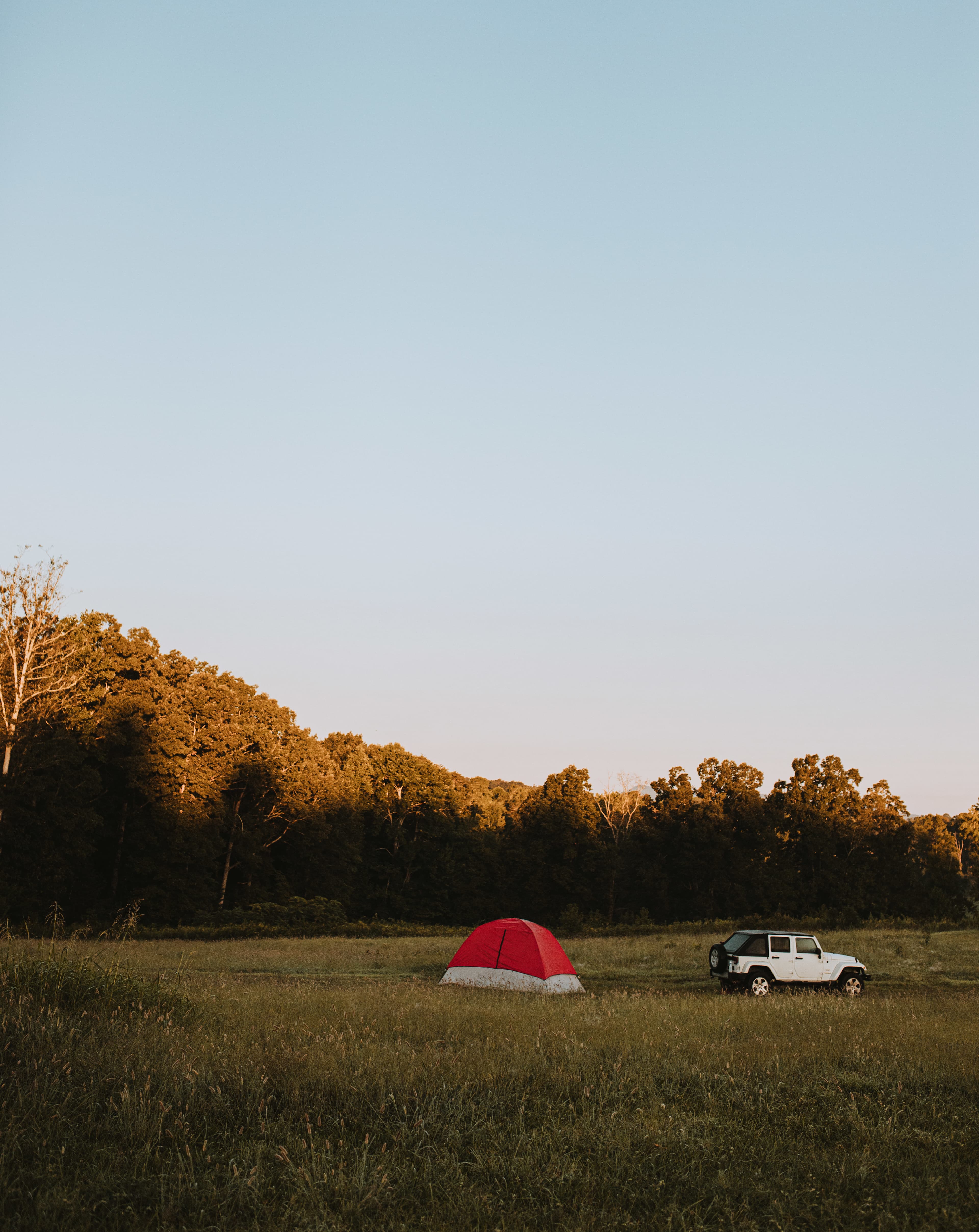 our little camp set up in the middle of the vineyard 