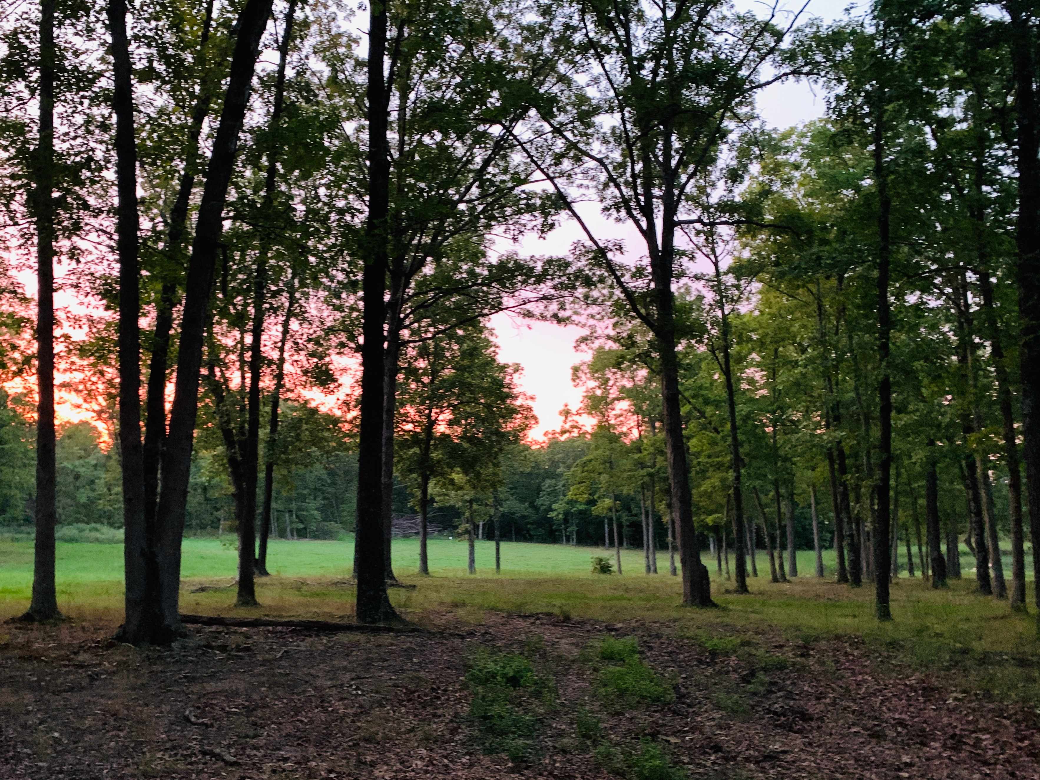 Bent Tree Farm
