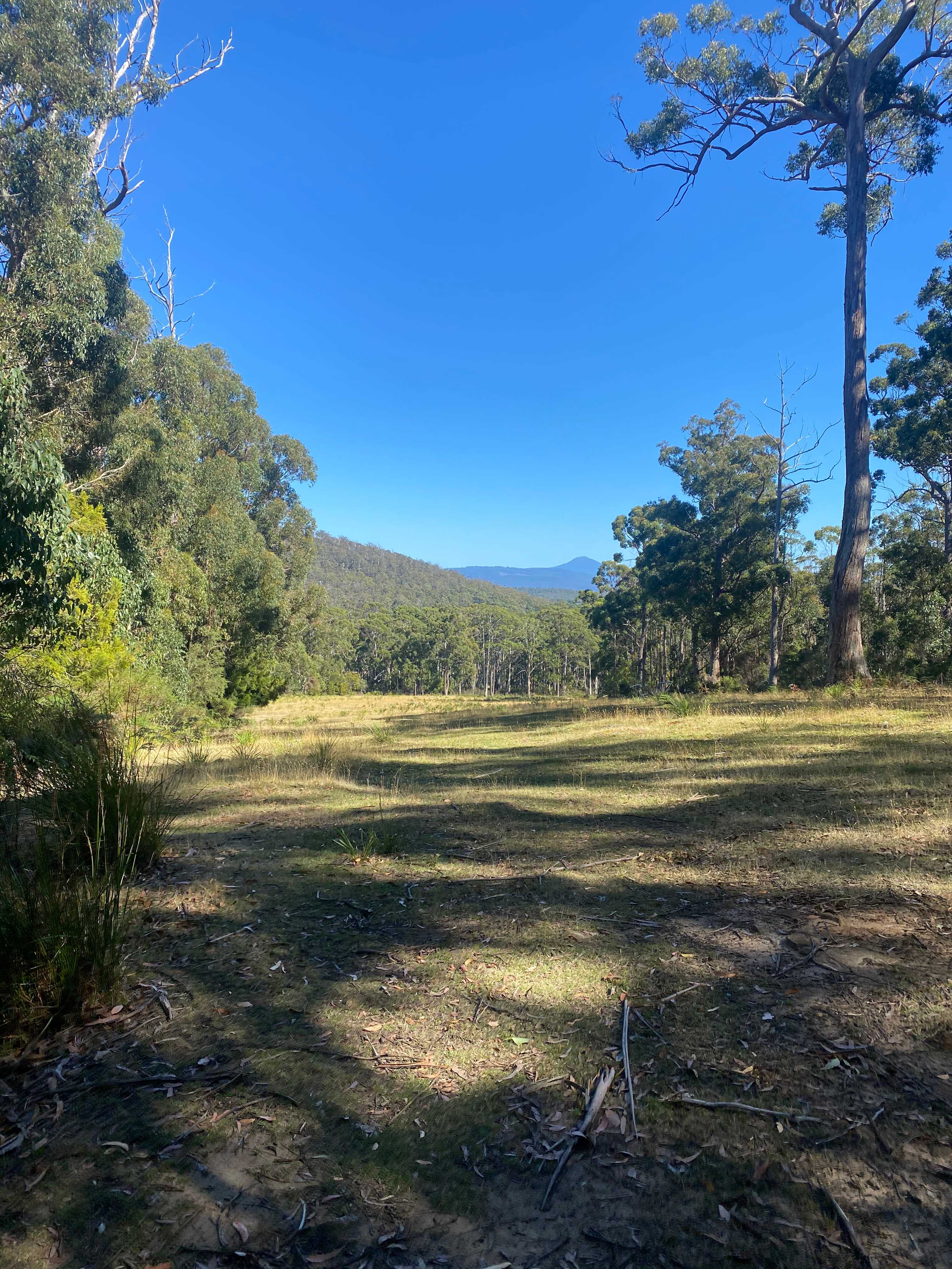 Bruny Island Bush Camp