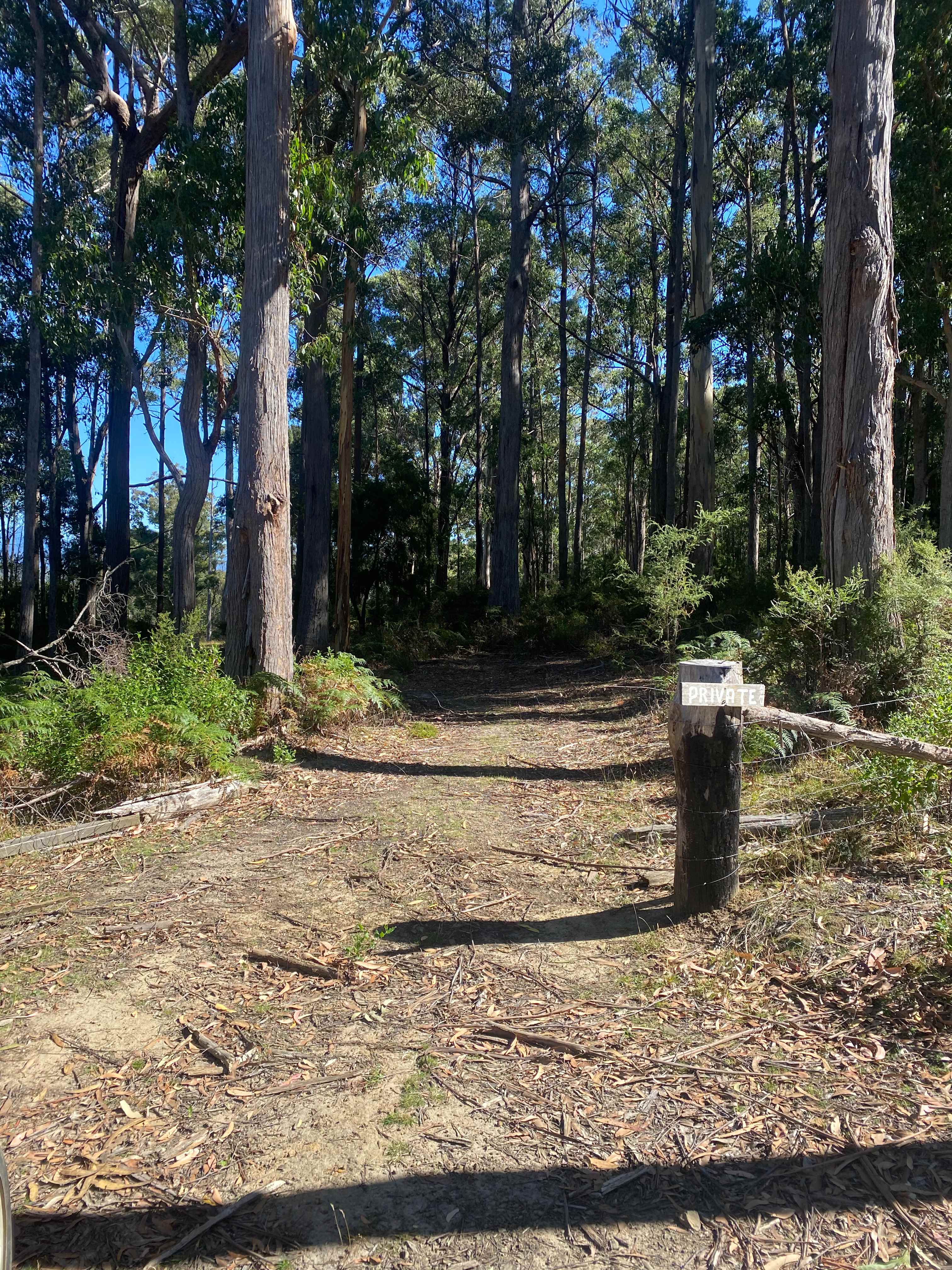 Bruny Island Bush Camp