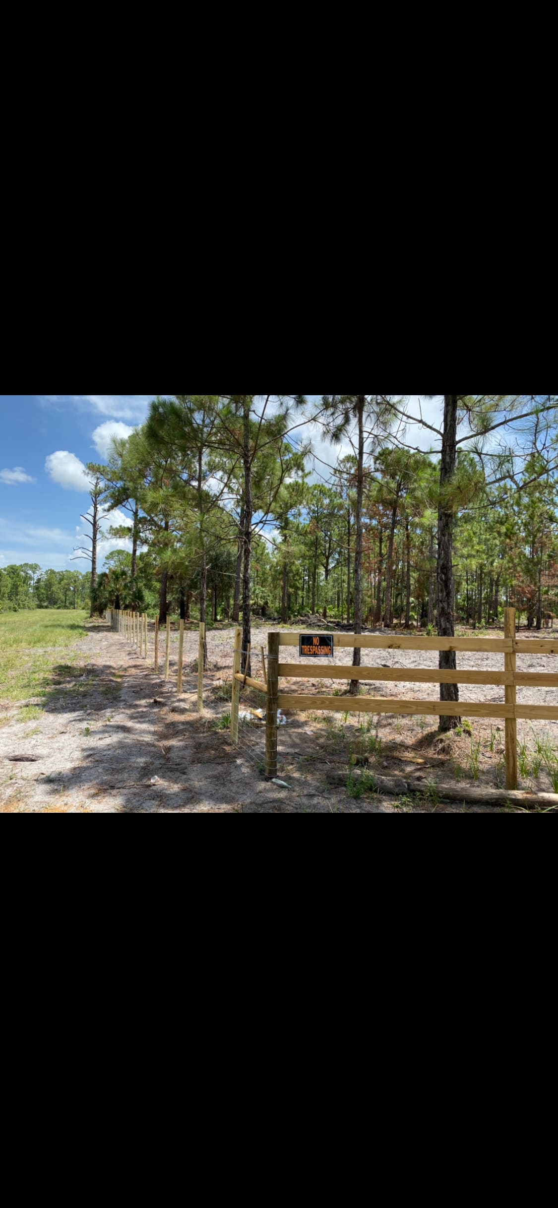 Pine Forest Ranch - Hipcamp in Clewiston, Florida