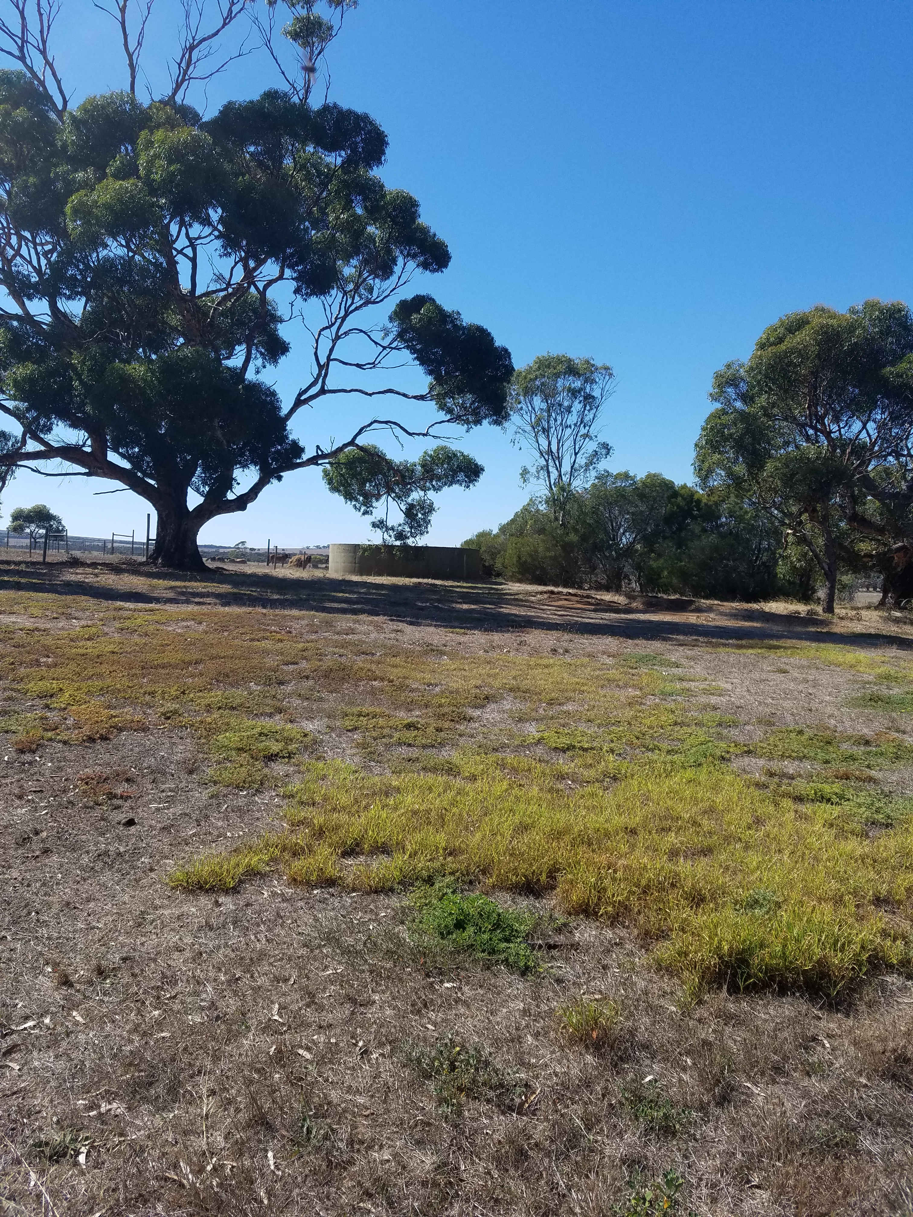 Fountain Farm Camp
