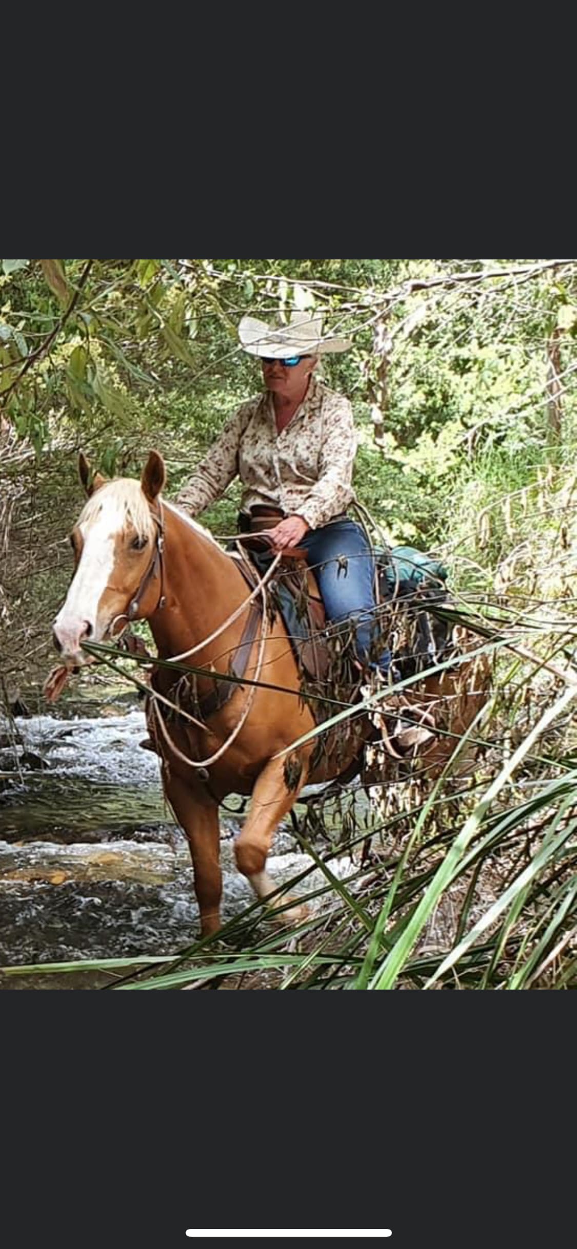 Bring your horse and enjoy my beautiful buffalo