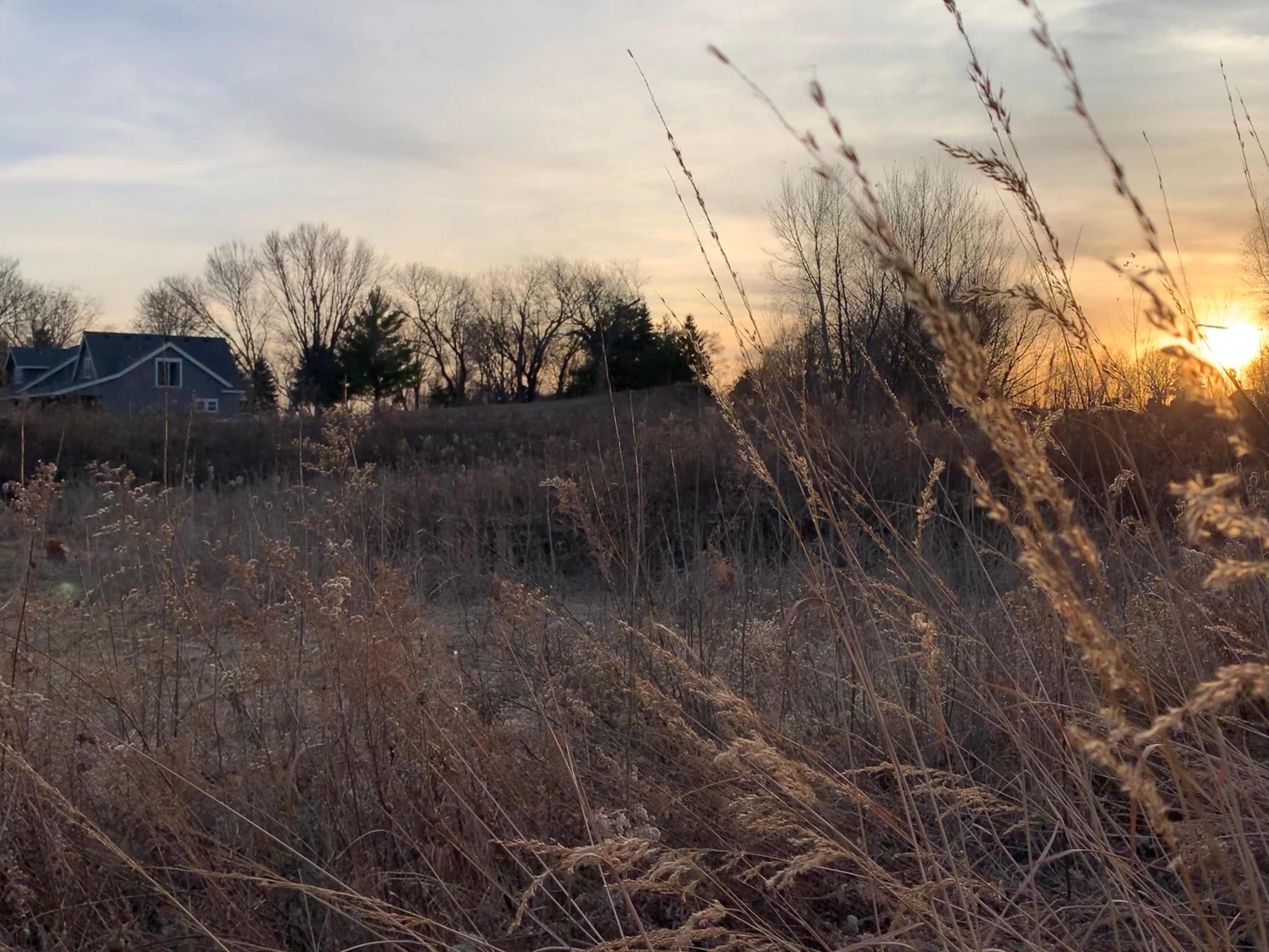 Misty B.’s Land