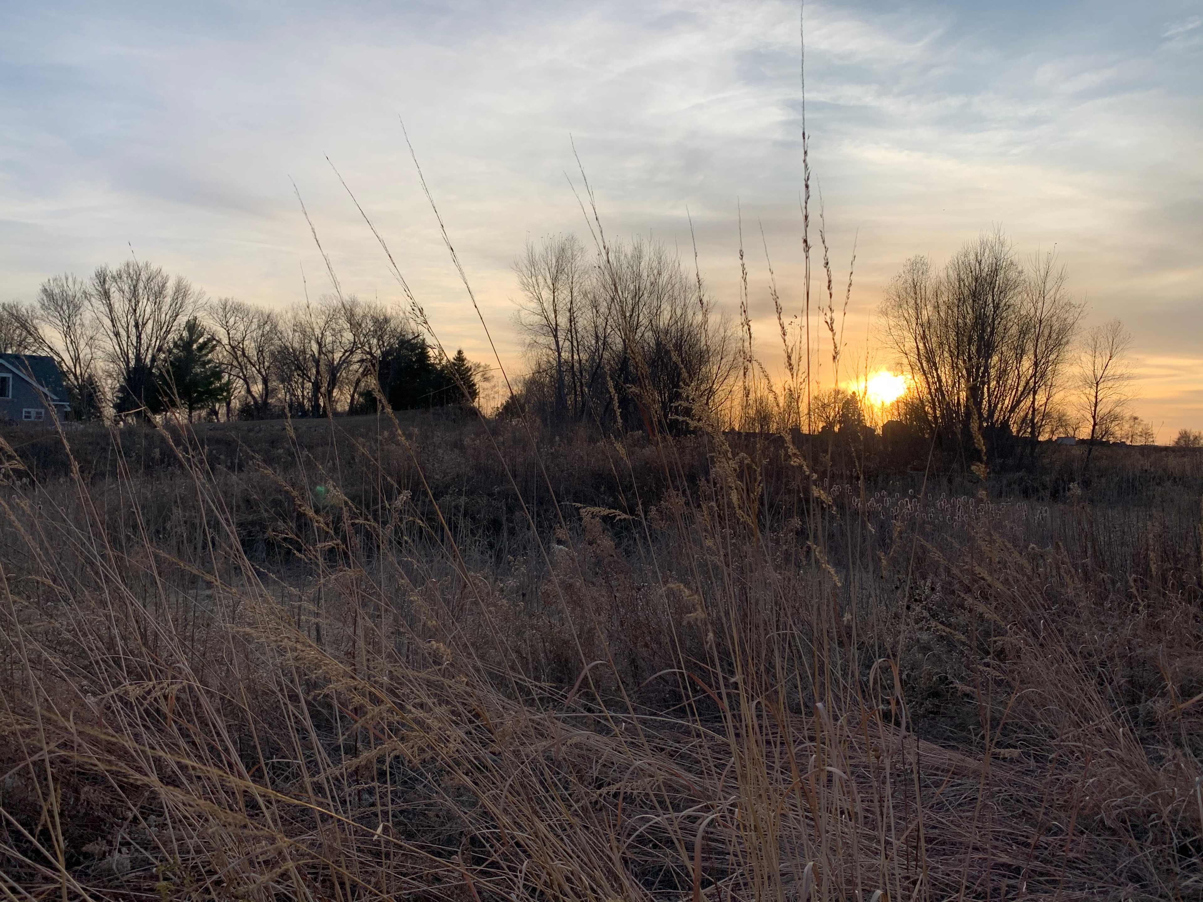 Misty B.’s Land