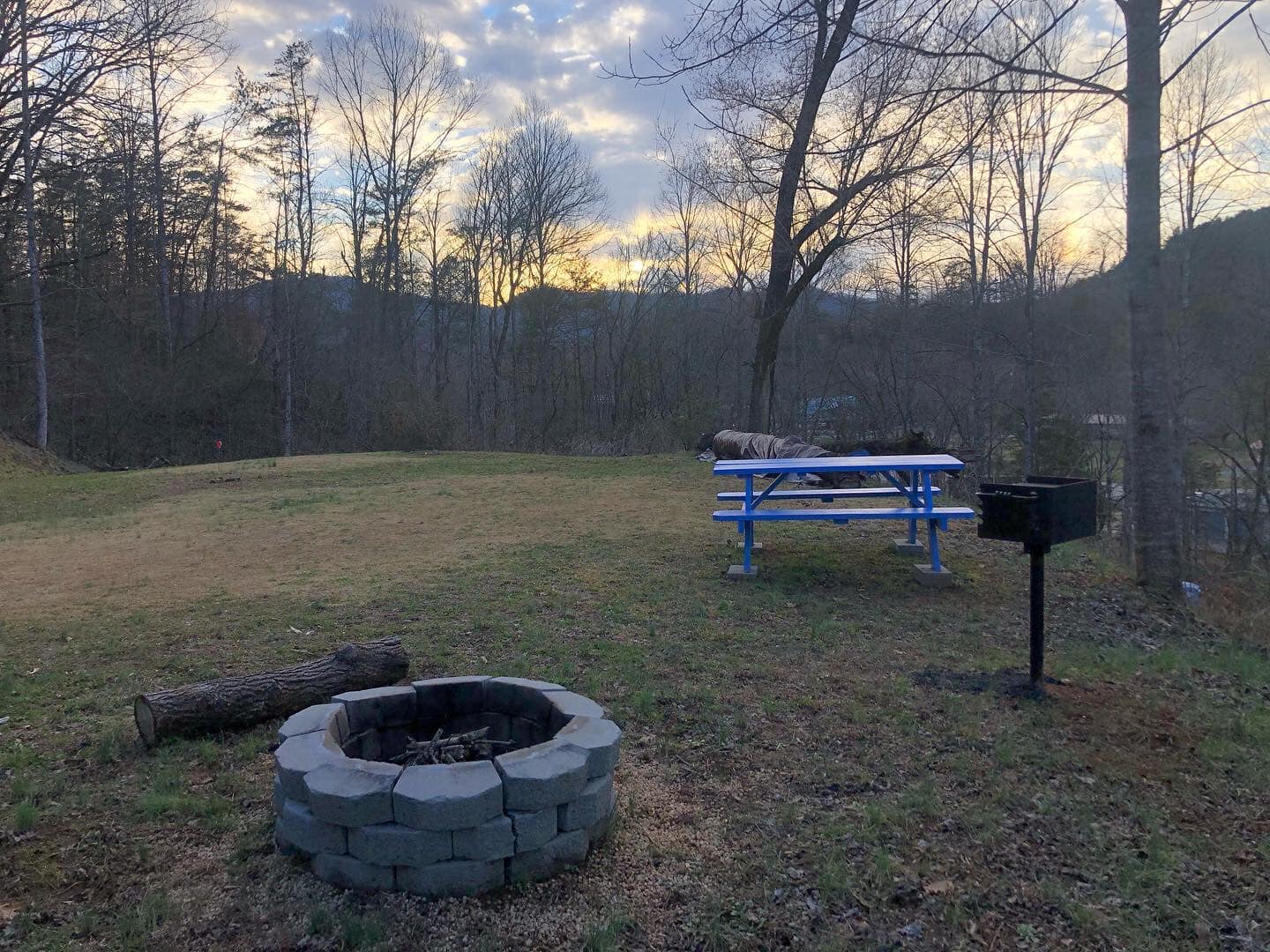 Picture of the site