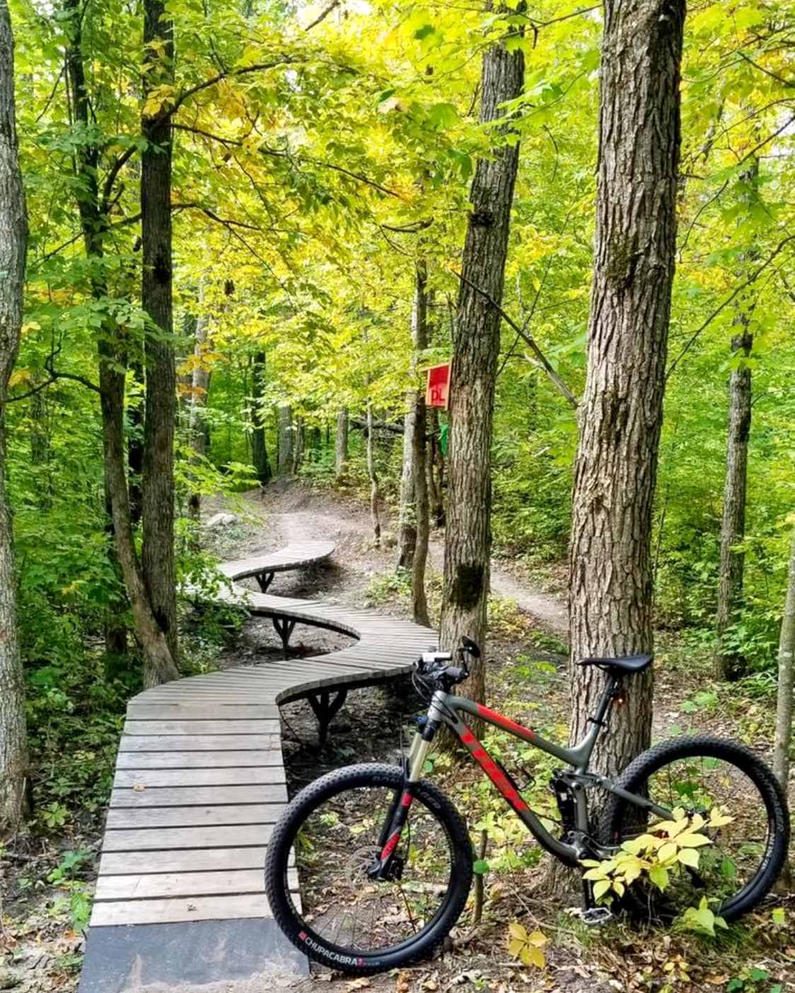 Beginner, intermediate, and advanced trails are available to those wanting to test their trail riding skills.