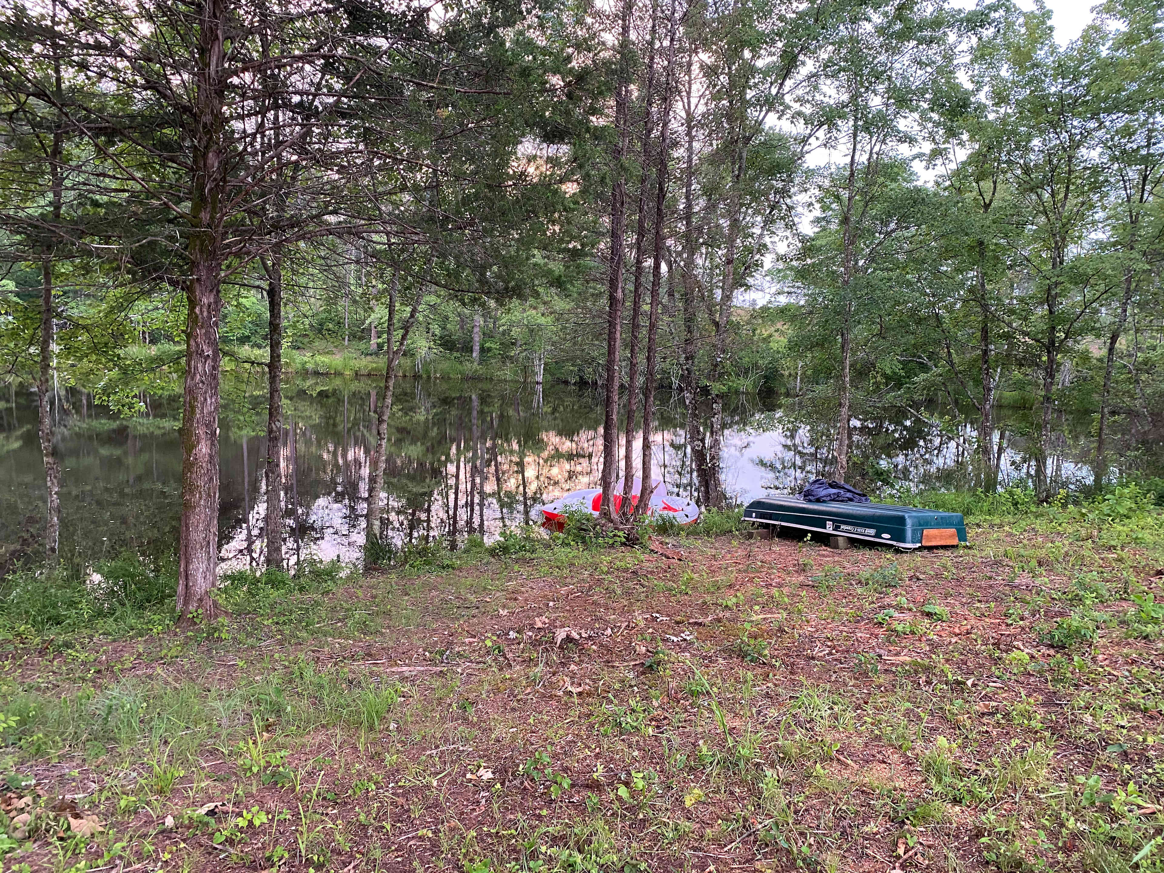 Picture of the site