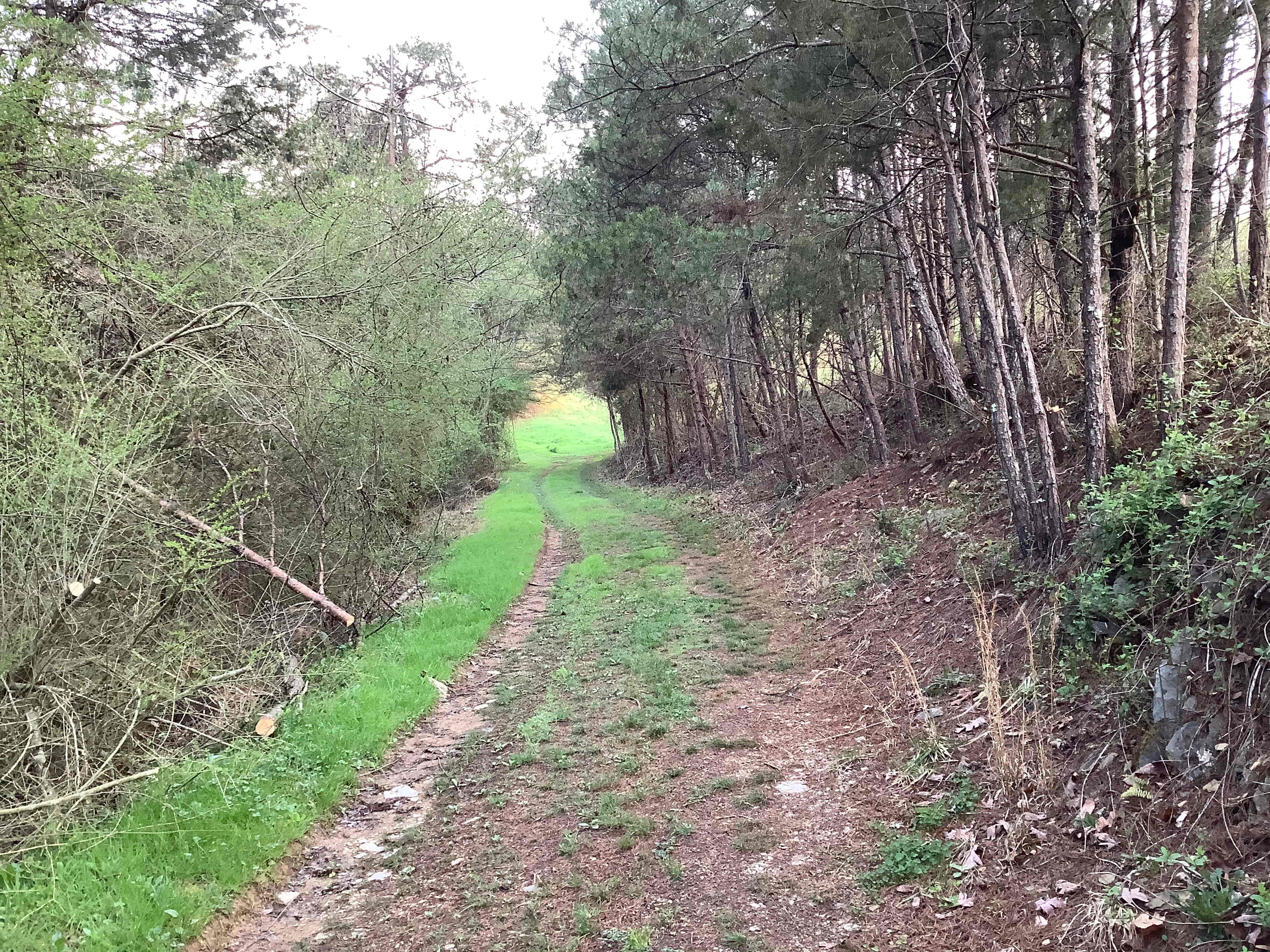 The  Farm