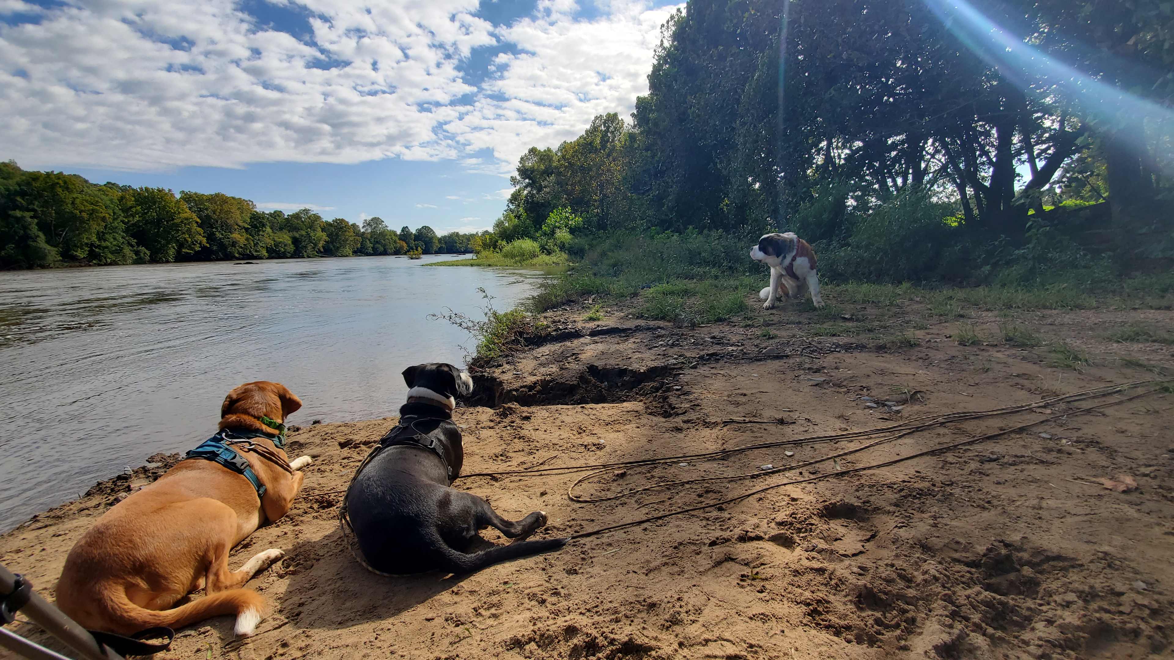 Seven Islands River Front Camping