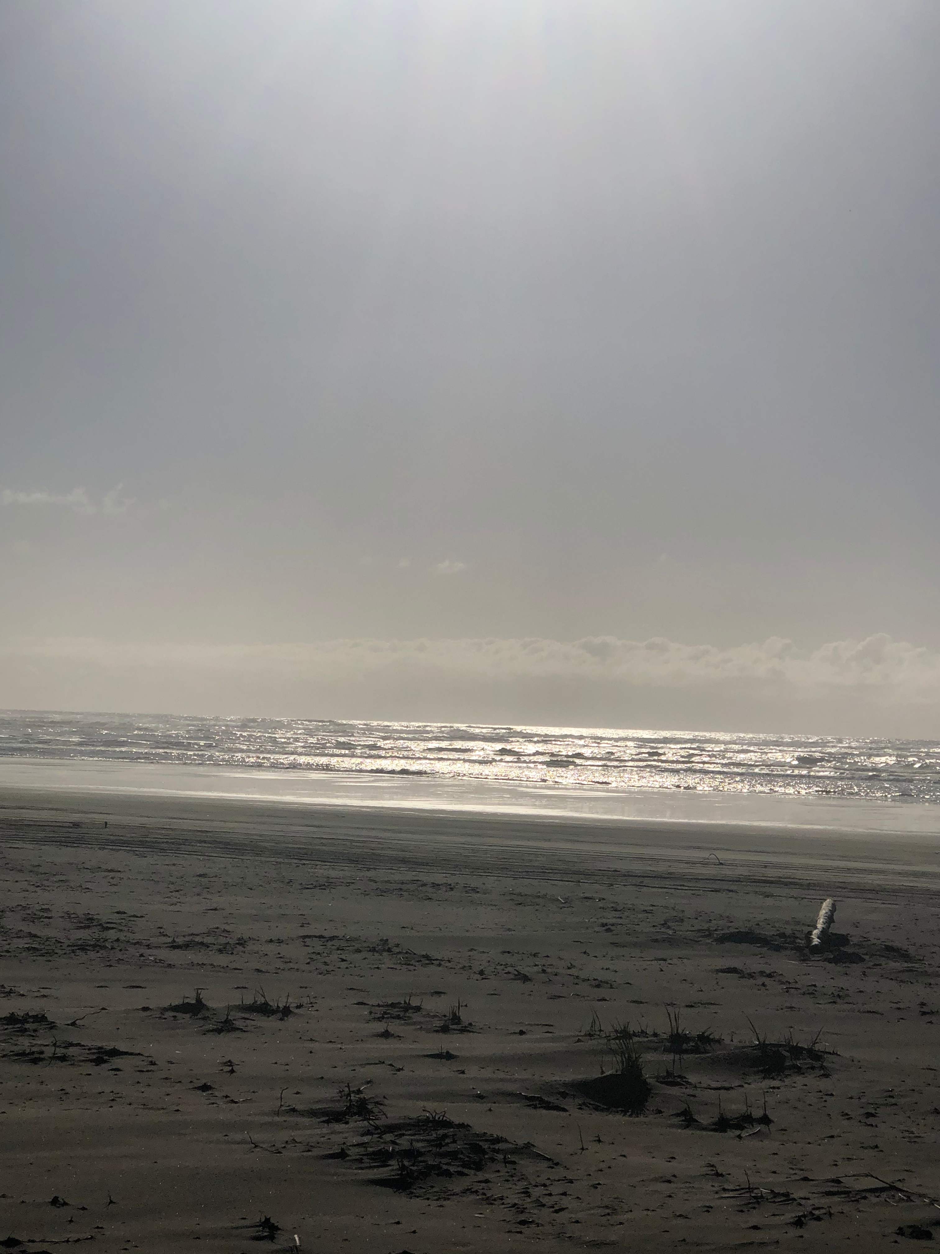Easy walk to the beach from campsite.  