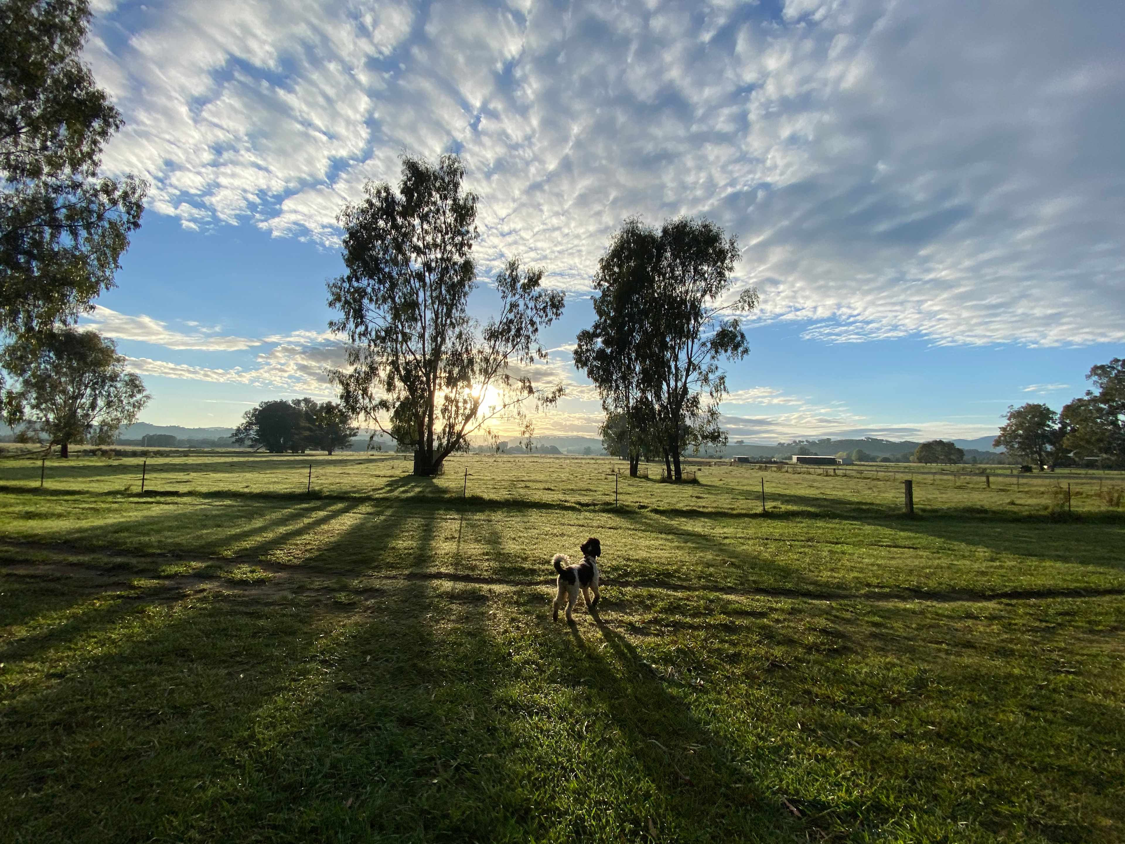 Bahwidgee on Tumut River