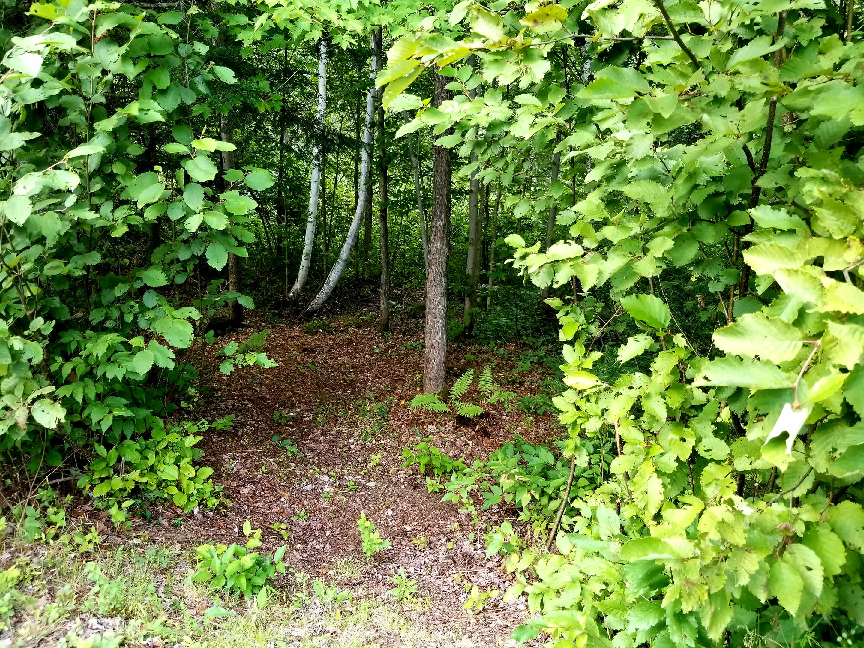 One campsite along set right off the main driveway