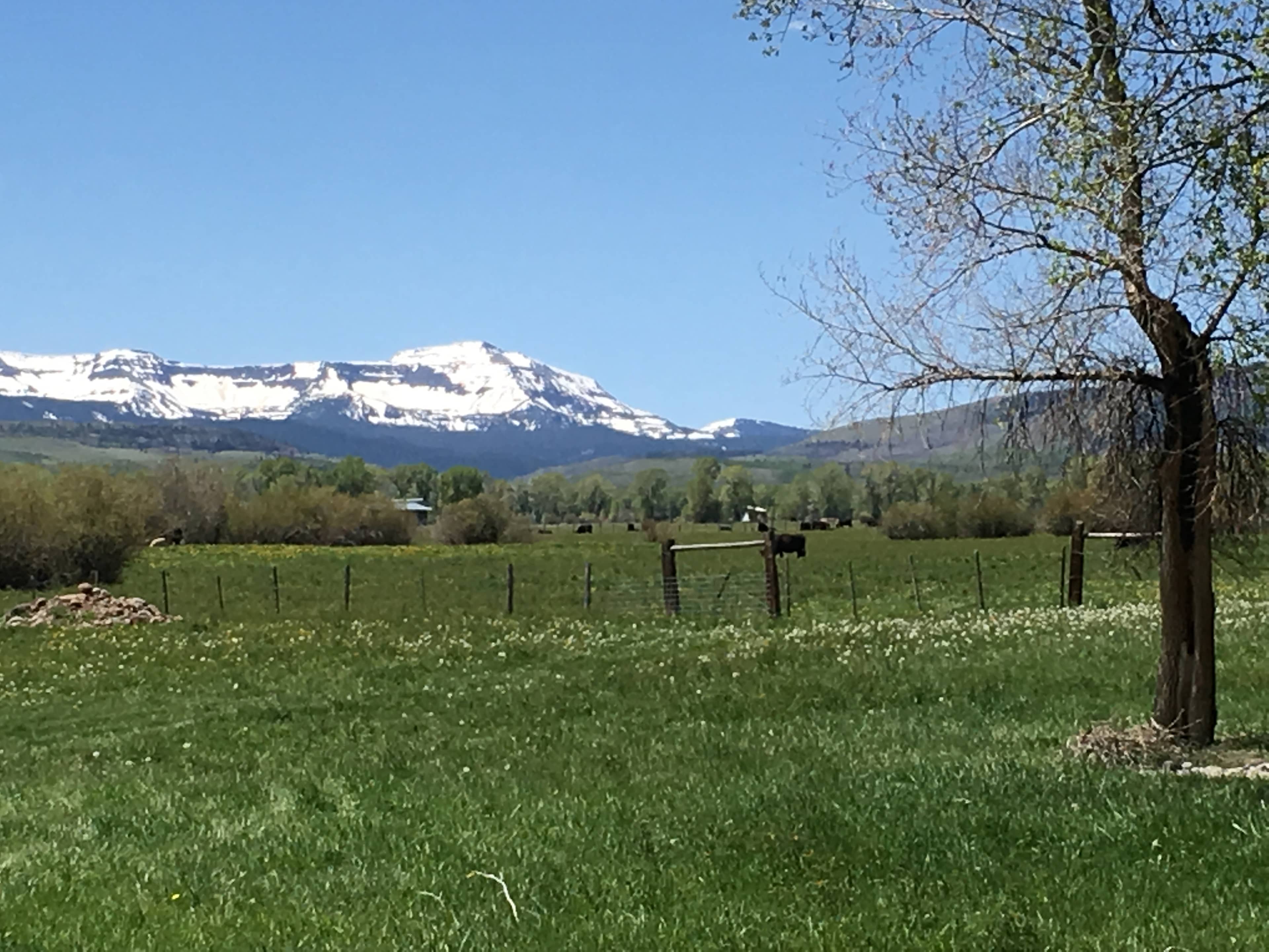 Valley of the Bear Ranch