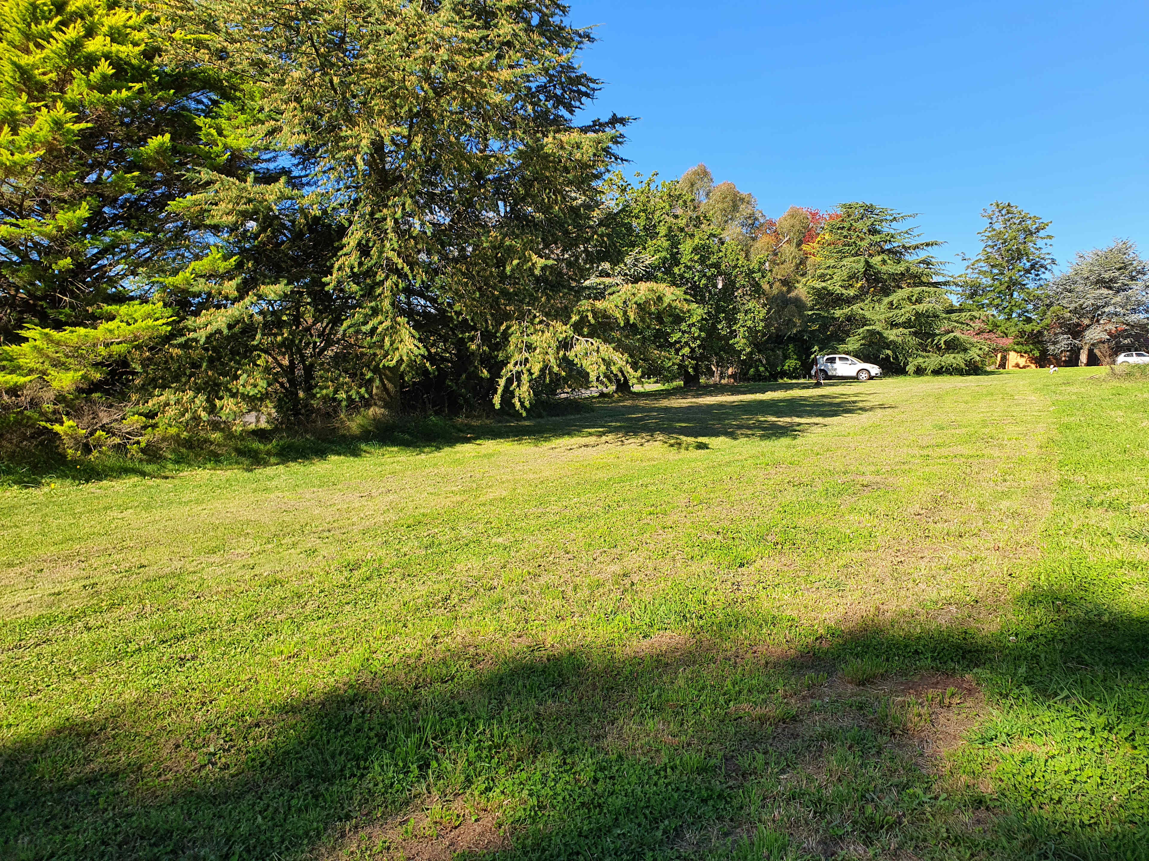 The Orchard