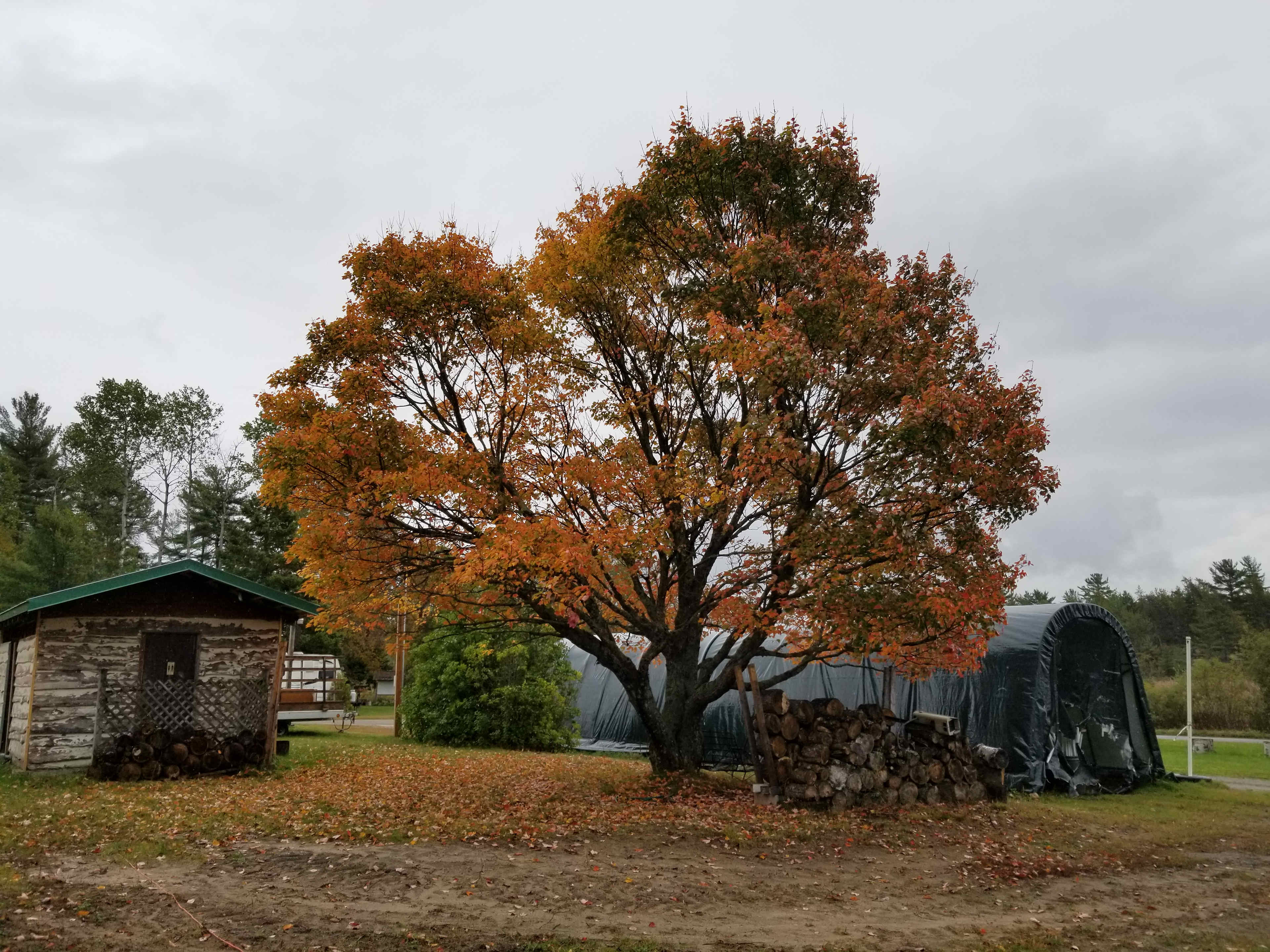 Cranberry Camp