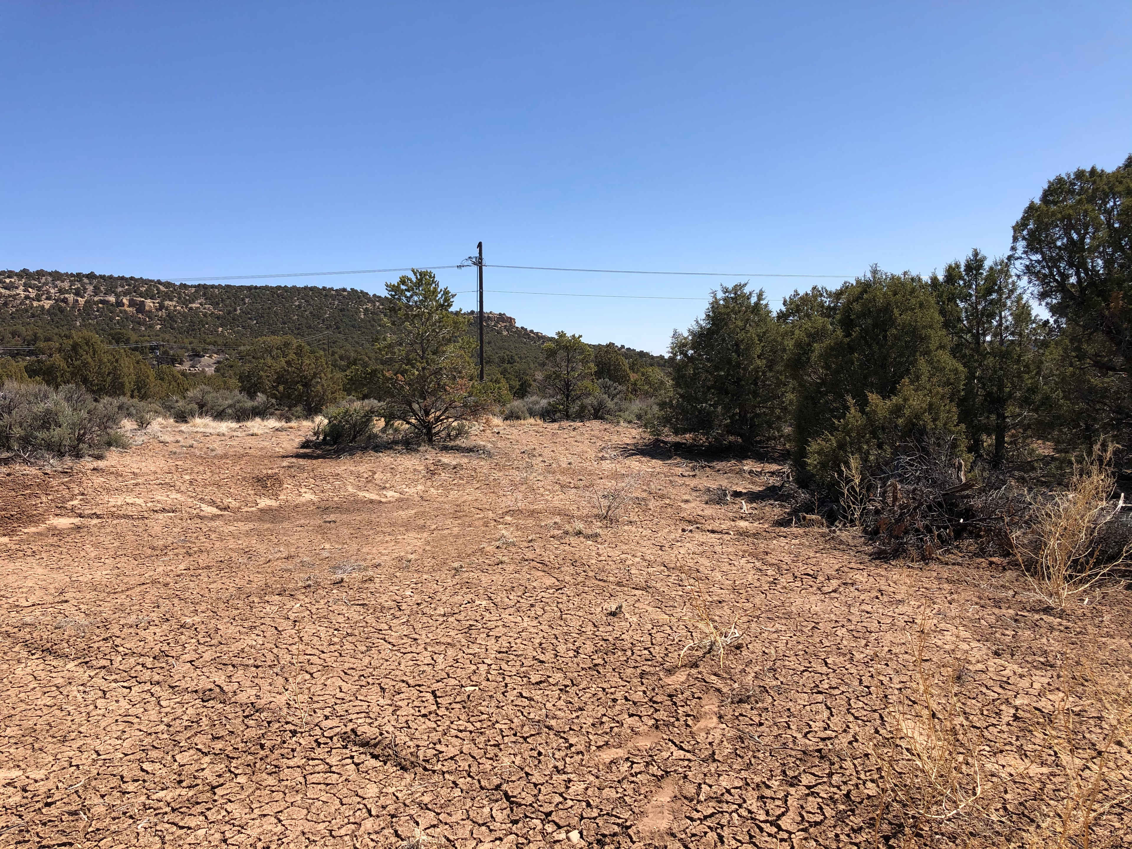 Site looking 