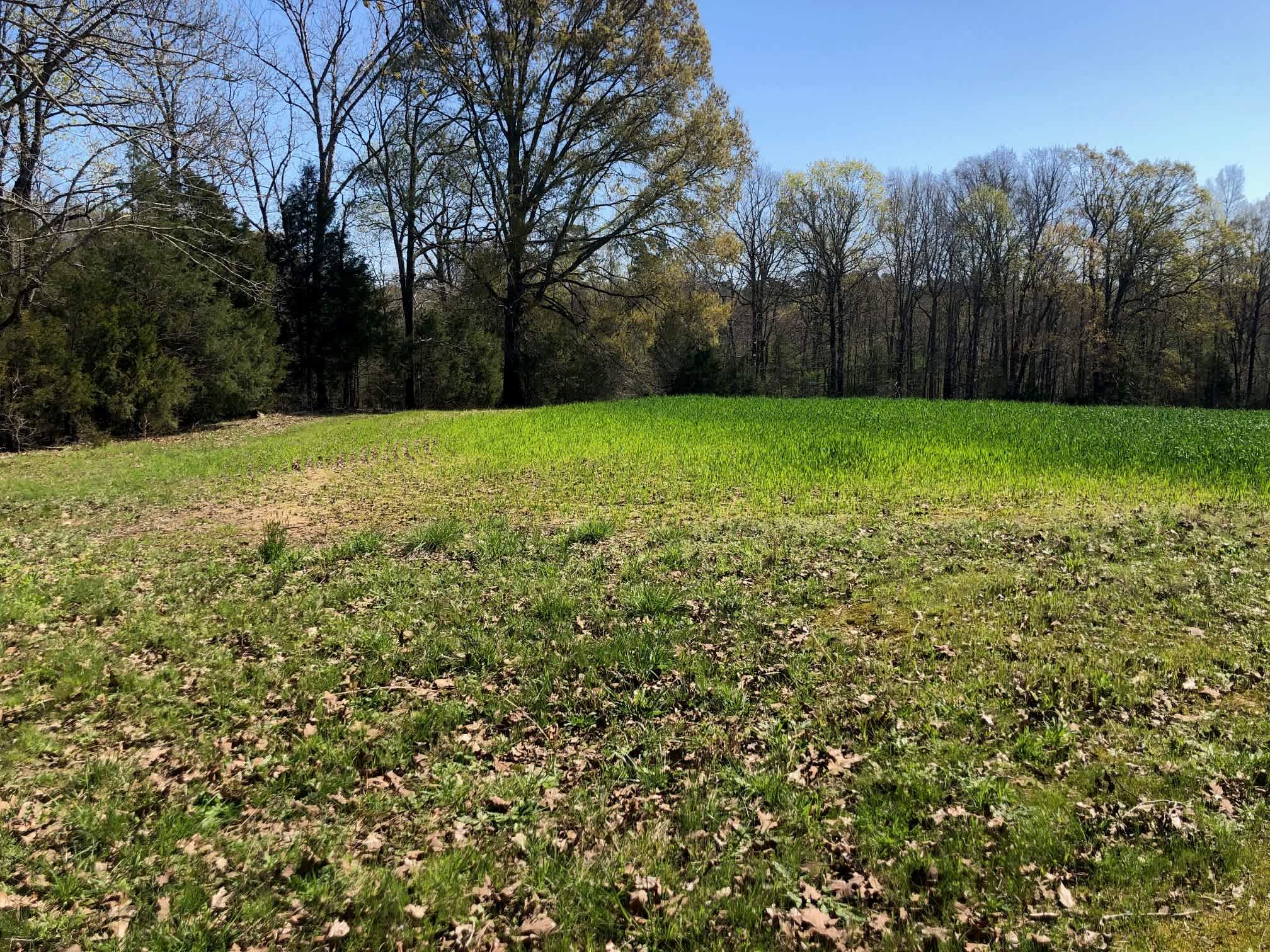 Total Isolation - South 40 Acre Lot