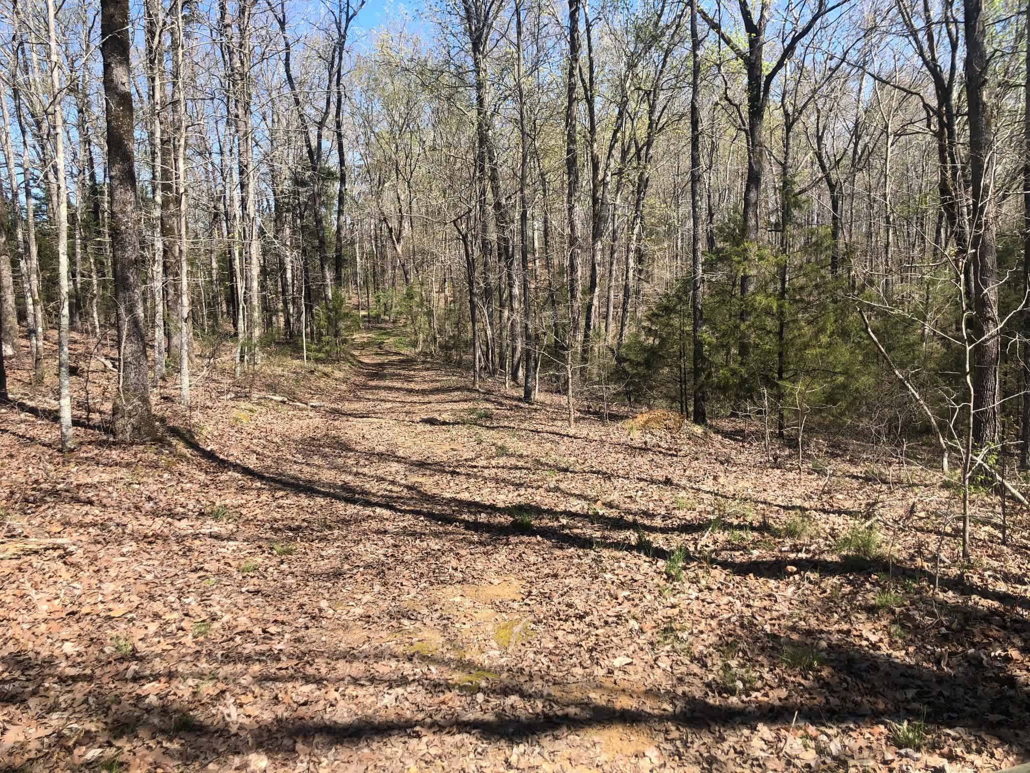 Total Isolation - South 40 Acre Lot