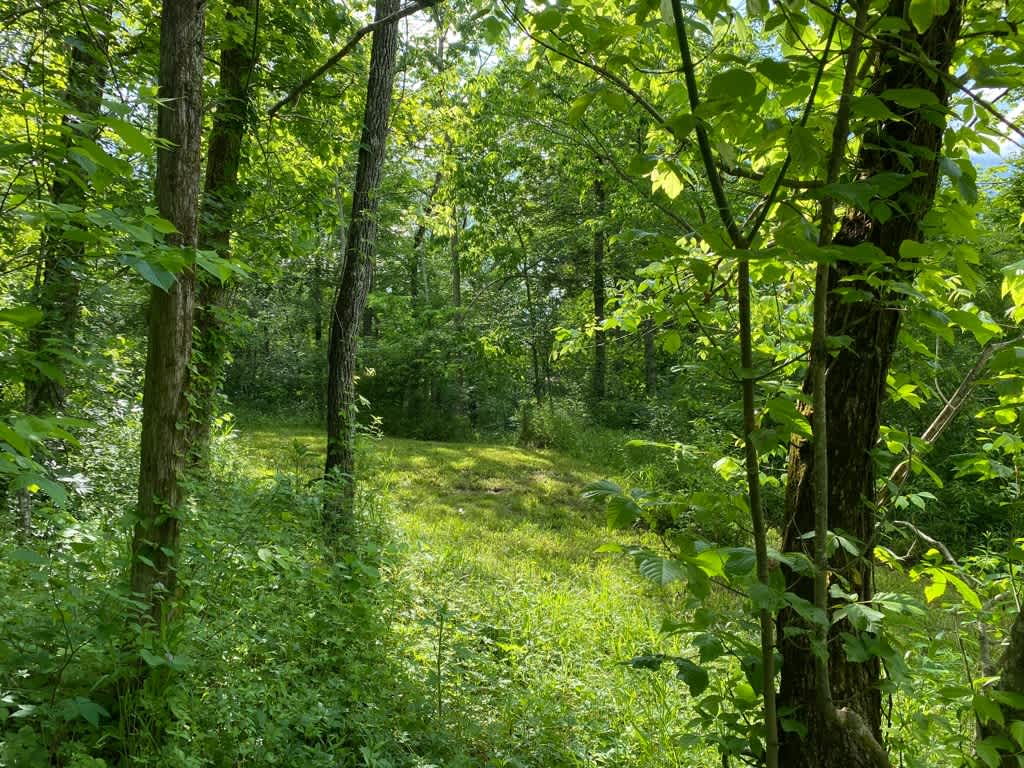 Terrapin Hill Farm