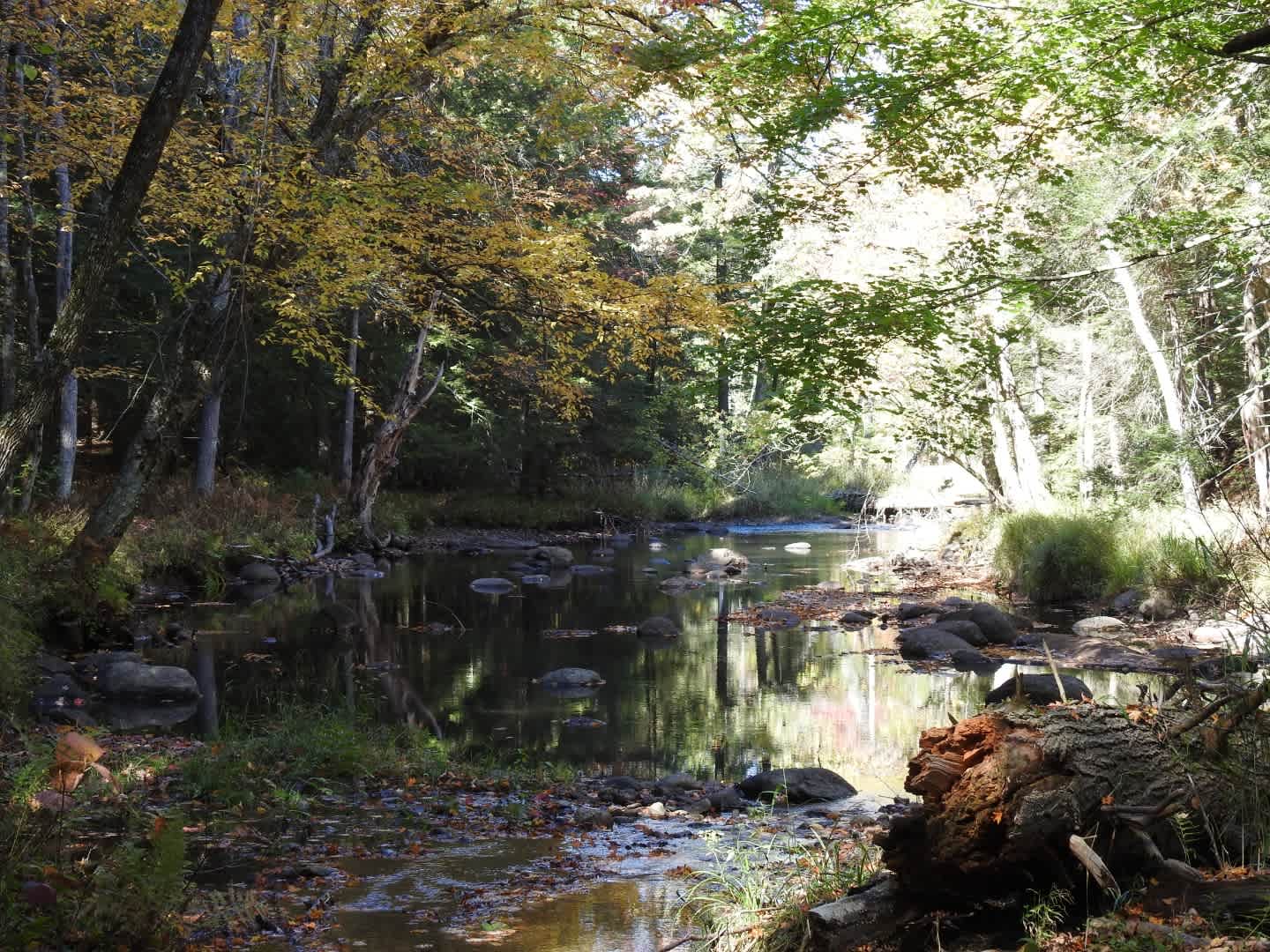 Public Fishing Stream on property