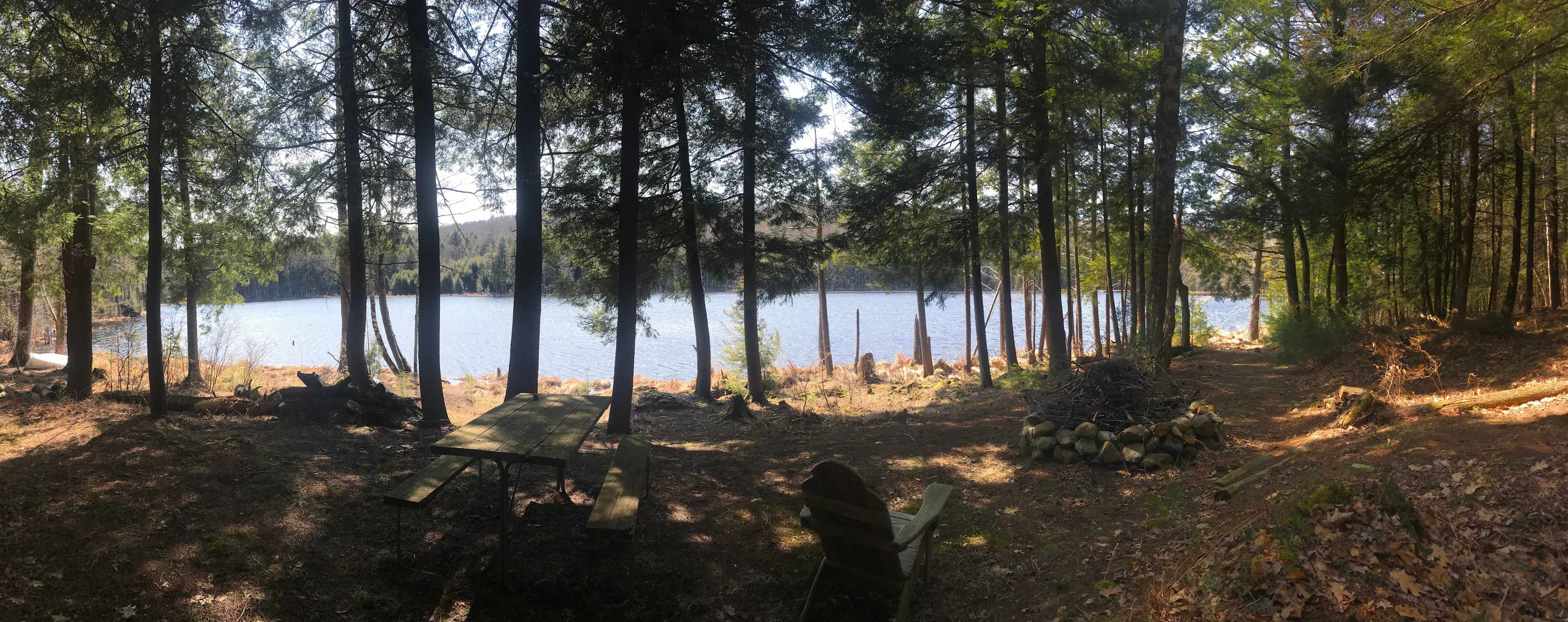 Otters and Eagles Cabin