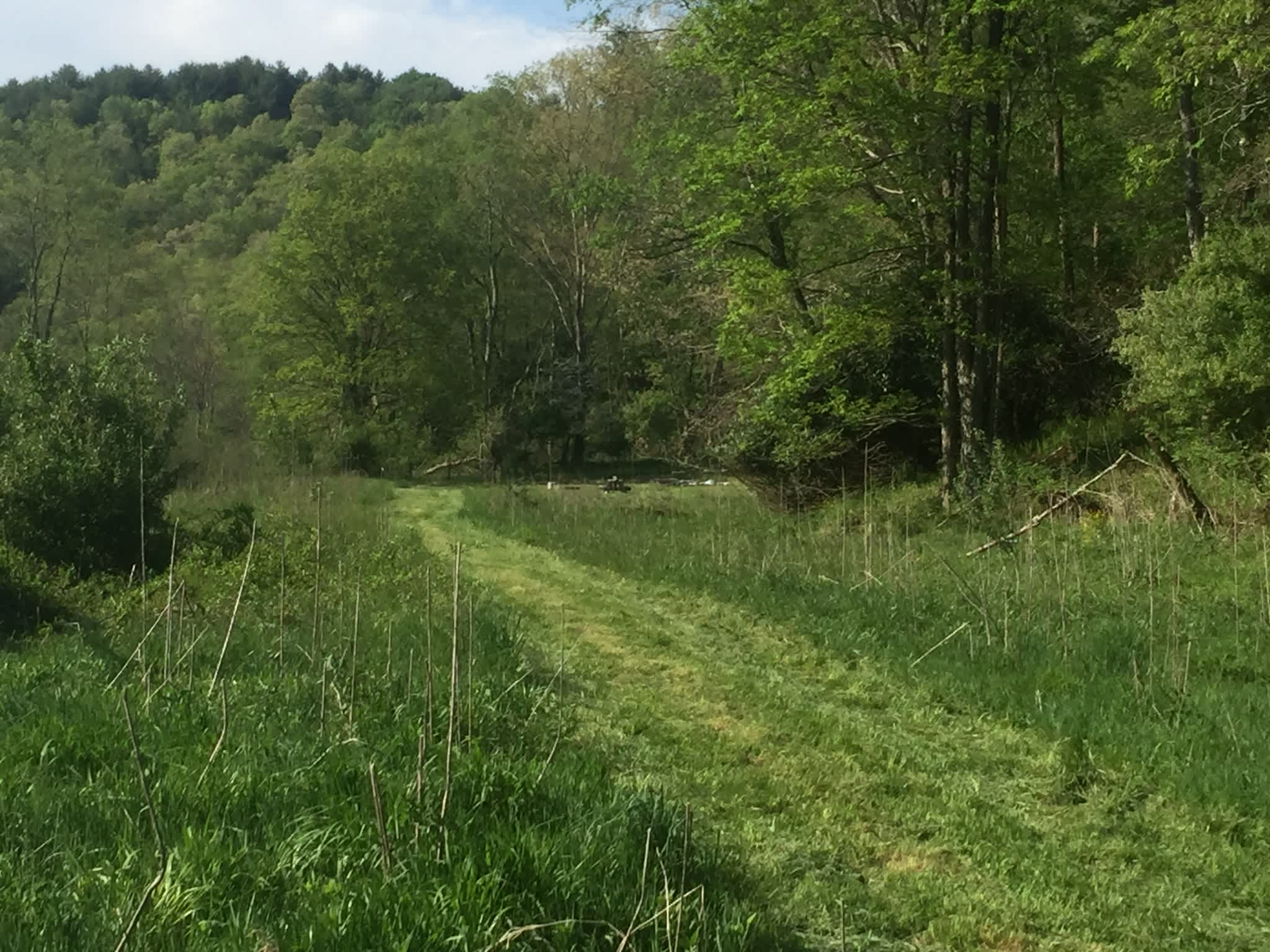 Picture of the site