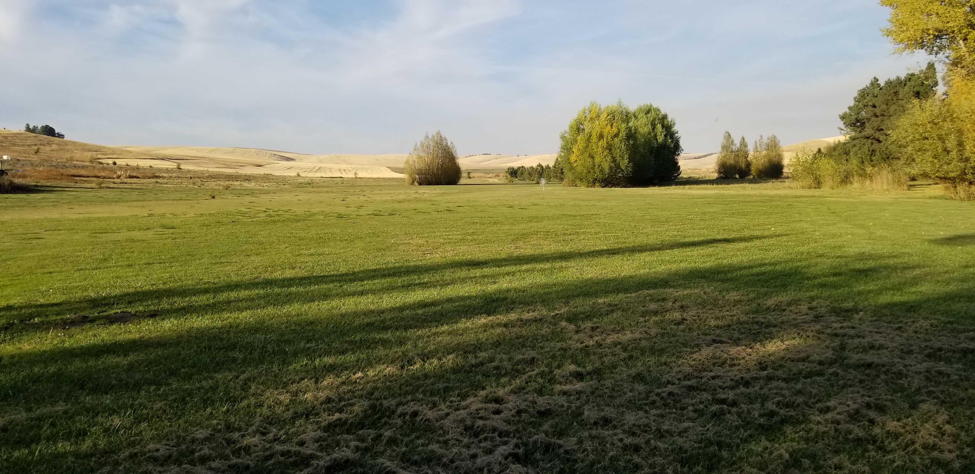 View from Site 2 in the willow woods.
