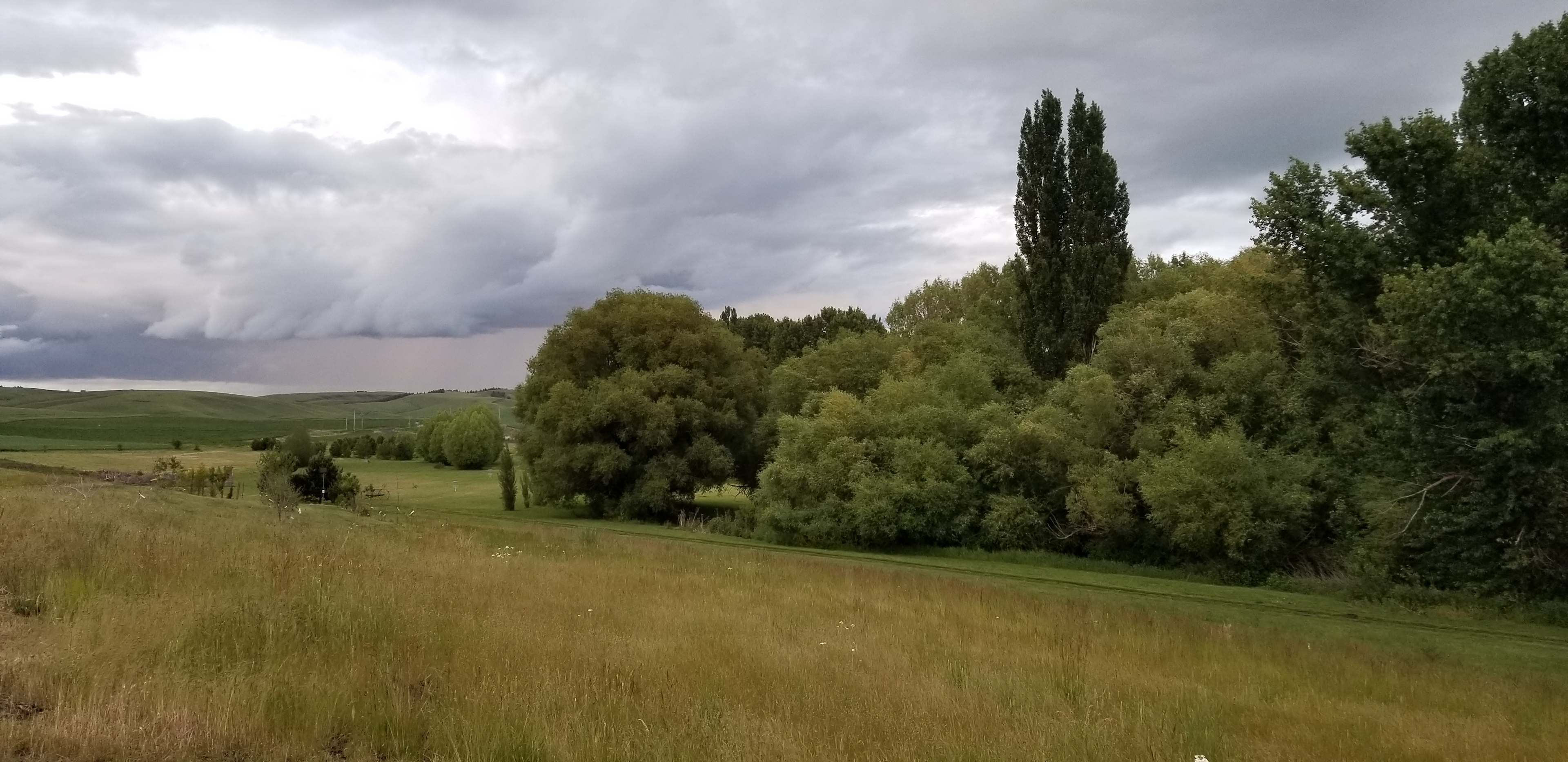 Looking down into the willow woods and the gathering lawn from the windmill. RV Camping is in the background.