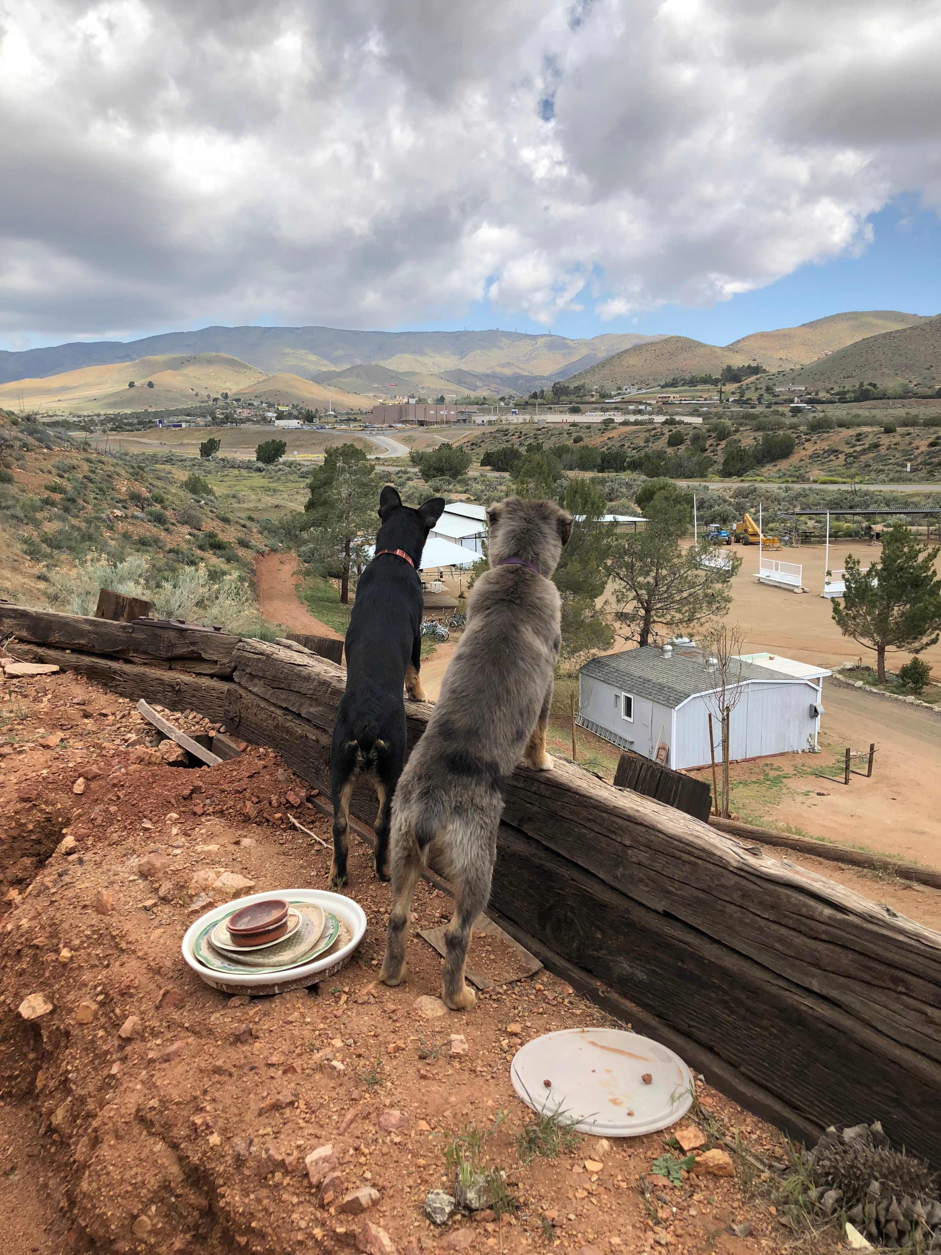 Mosshart Ranch - Hipcamp in Acton, California