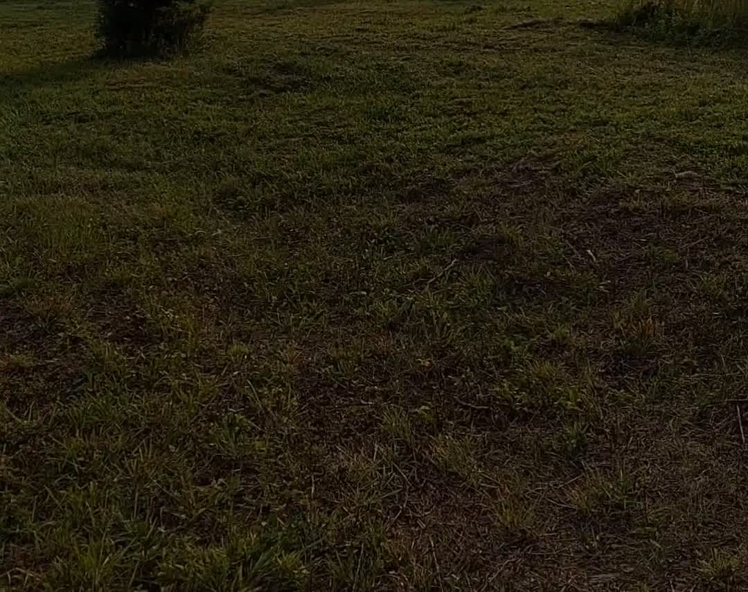 Fresh Air Field