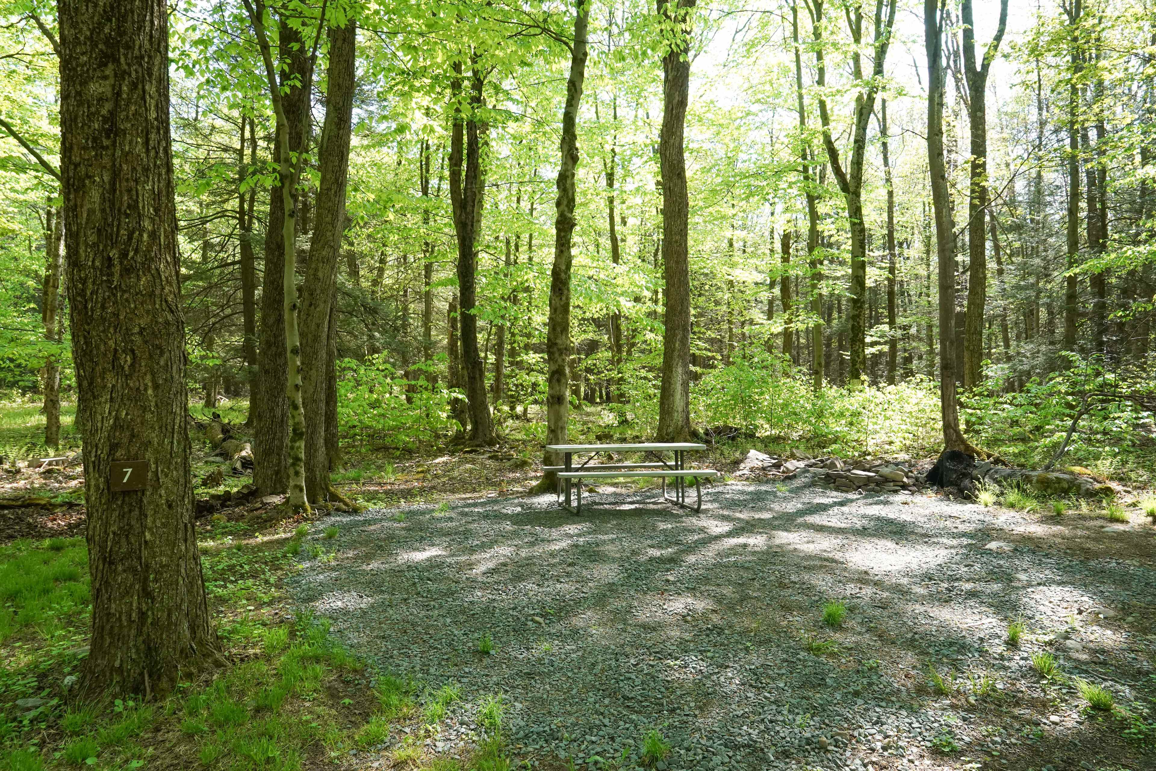 Wilson Campground