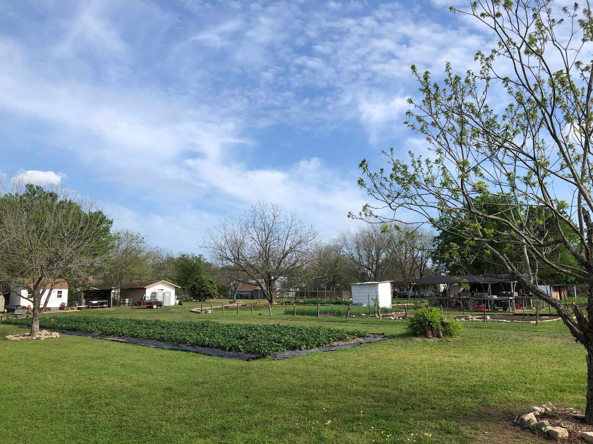 One of our views over the potato patch back towards the front side of the farm. 