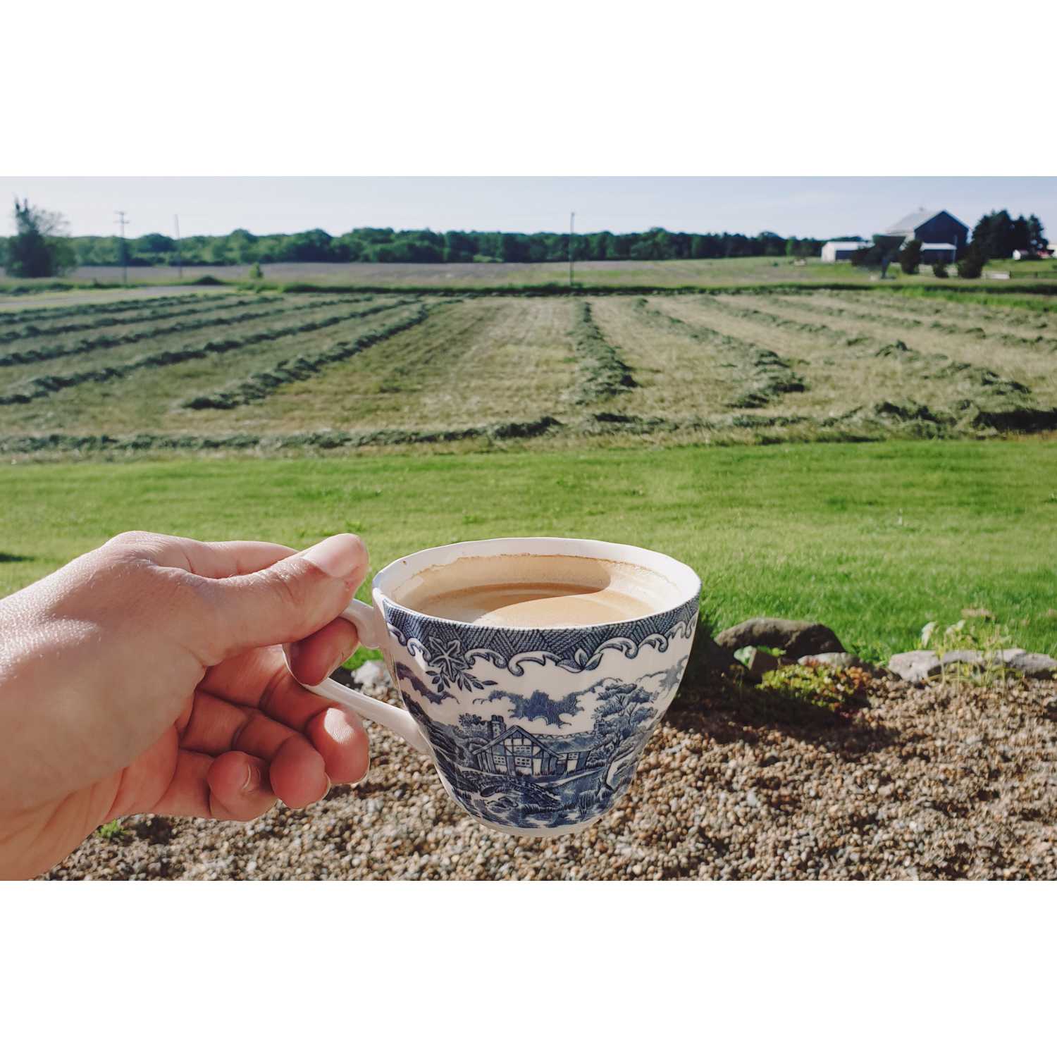 Farm Camp & Art Retreat