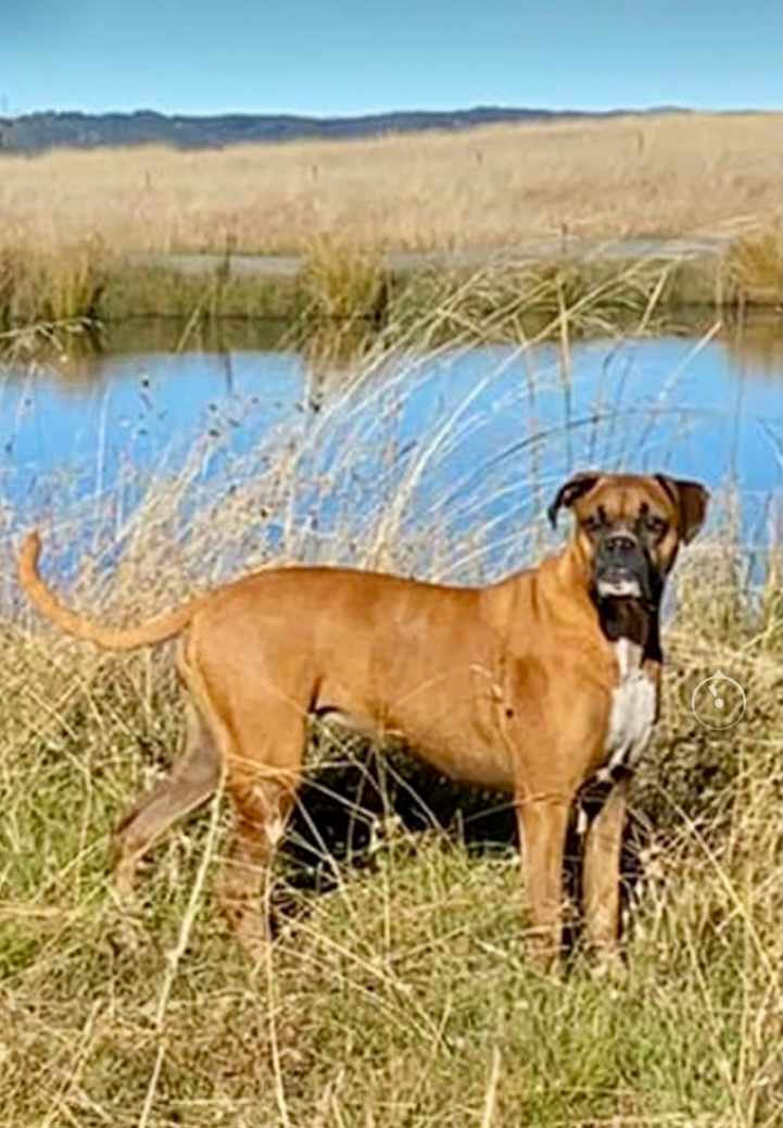 Ruby loving the dam