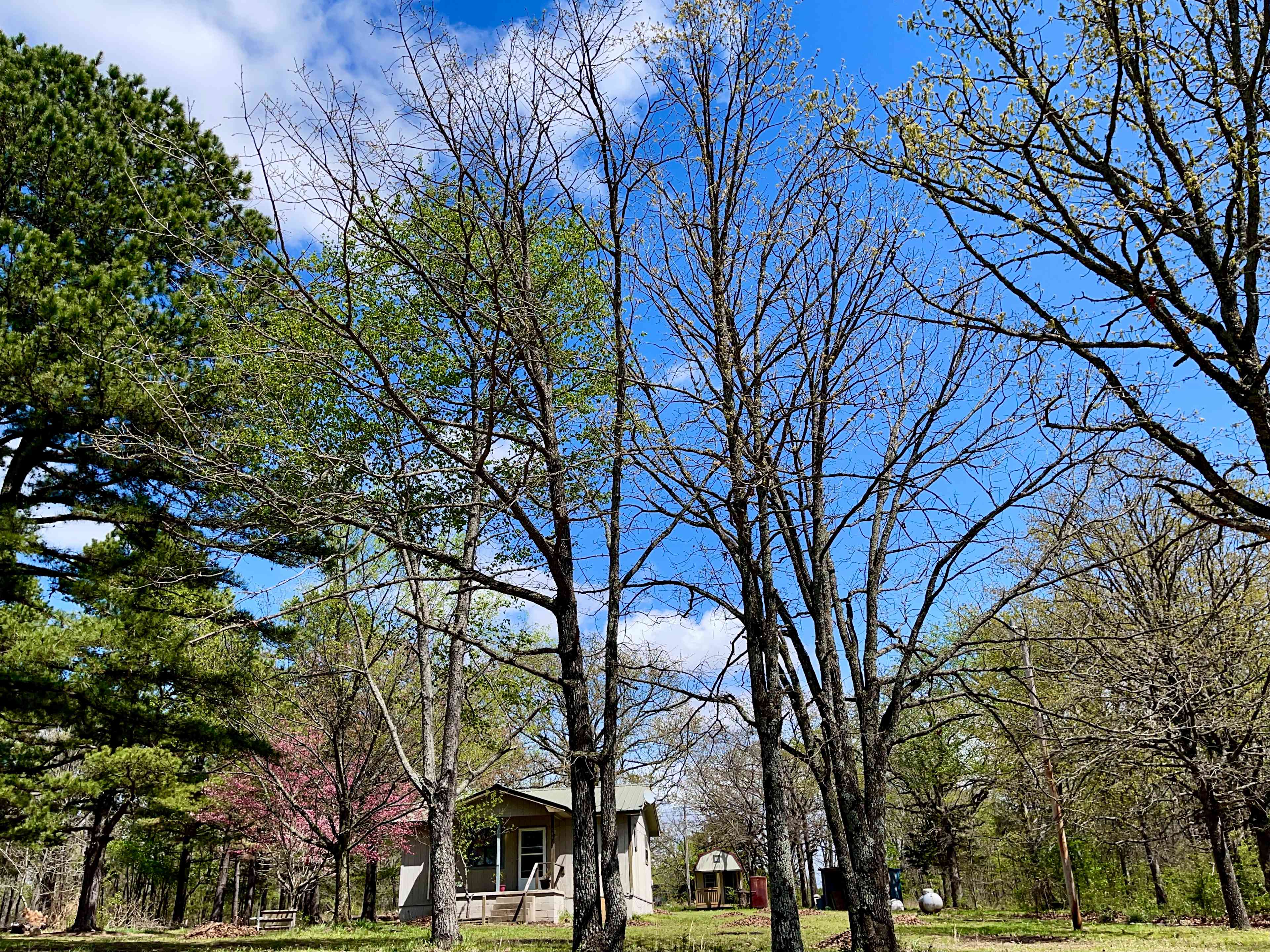 Lisa Christiansen’s Childhood Home