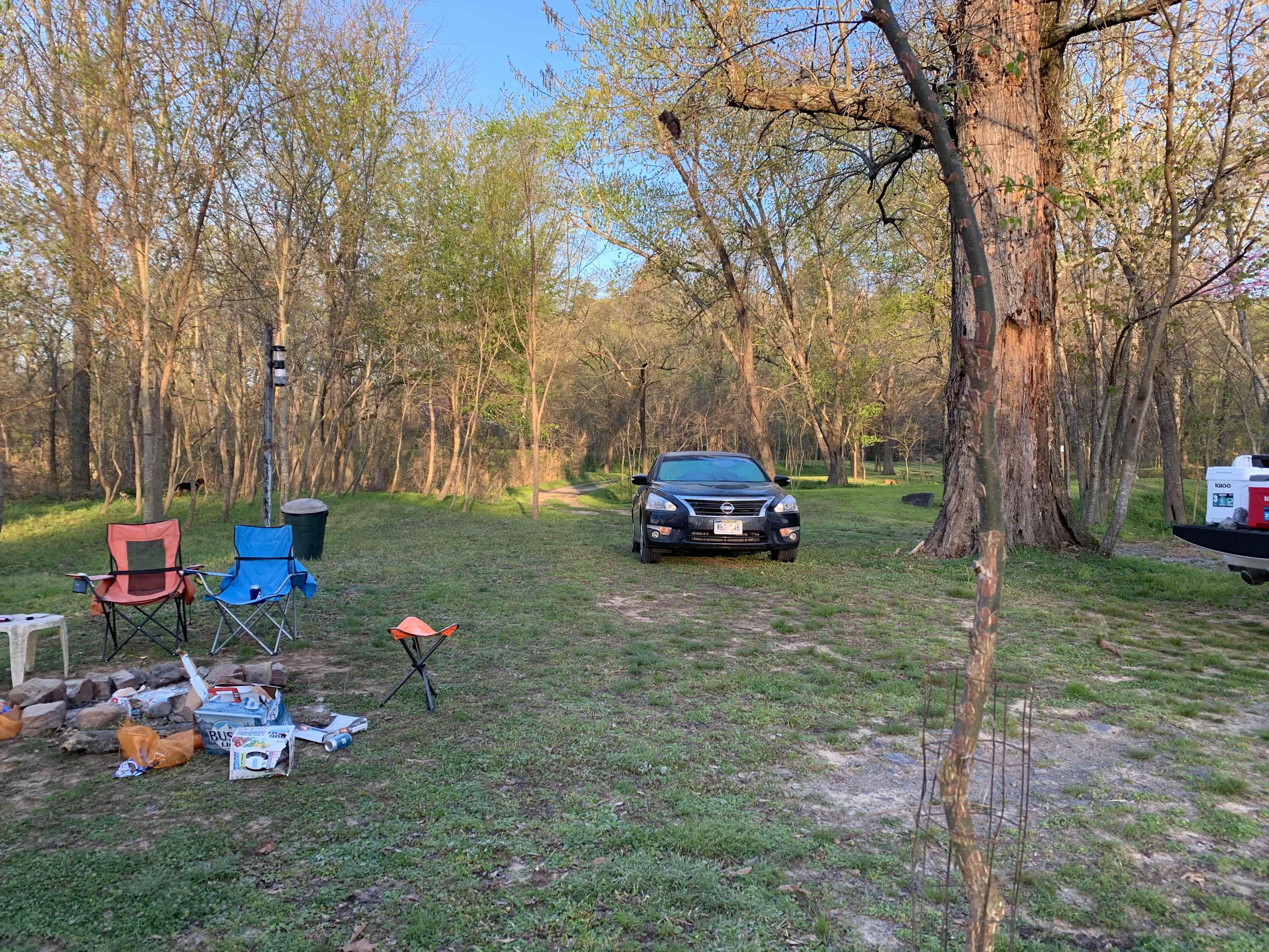 Picture of the site