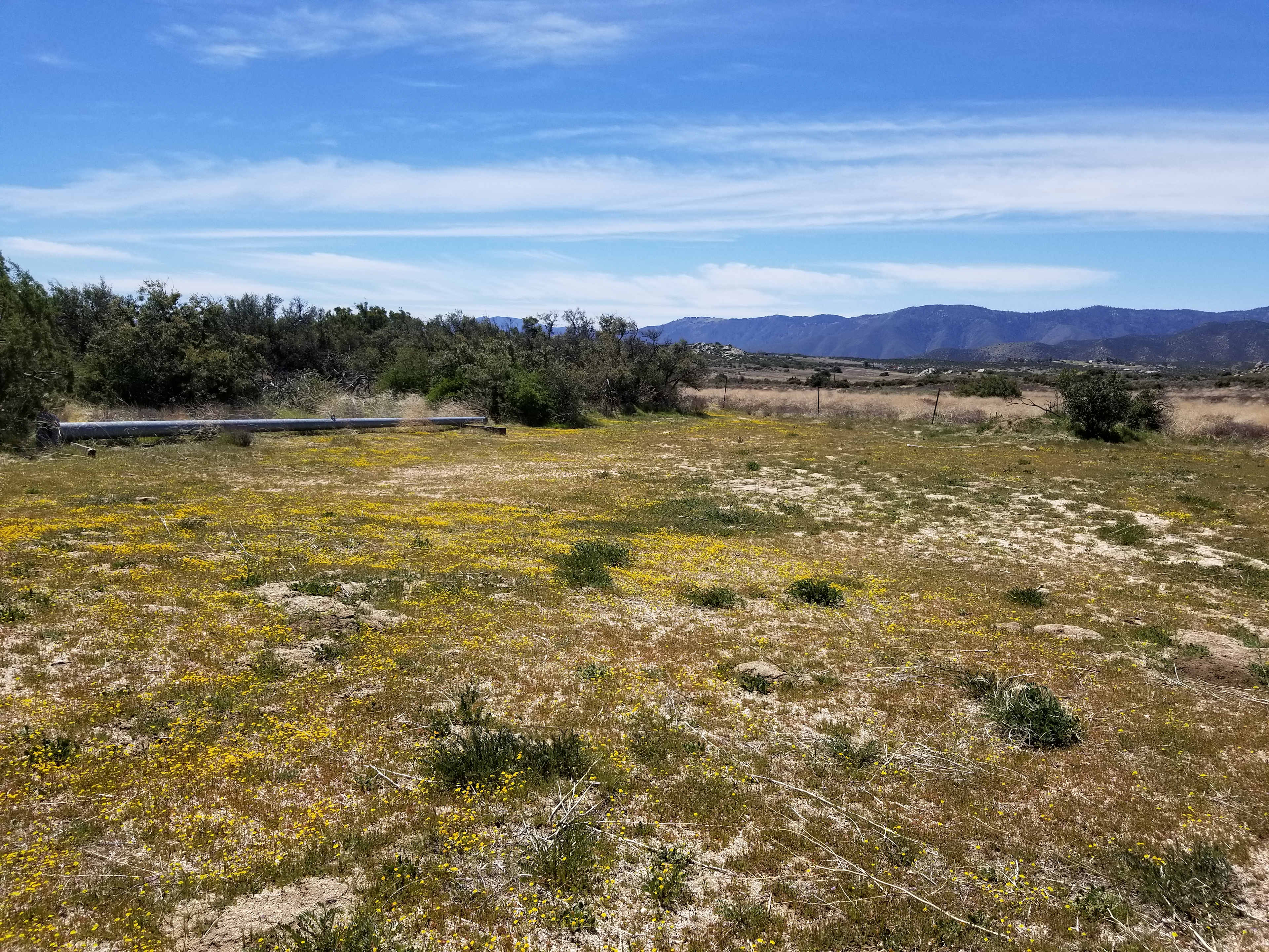 Montezuma Valley Campground