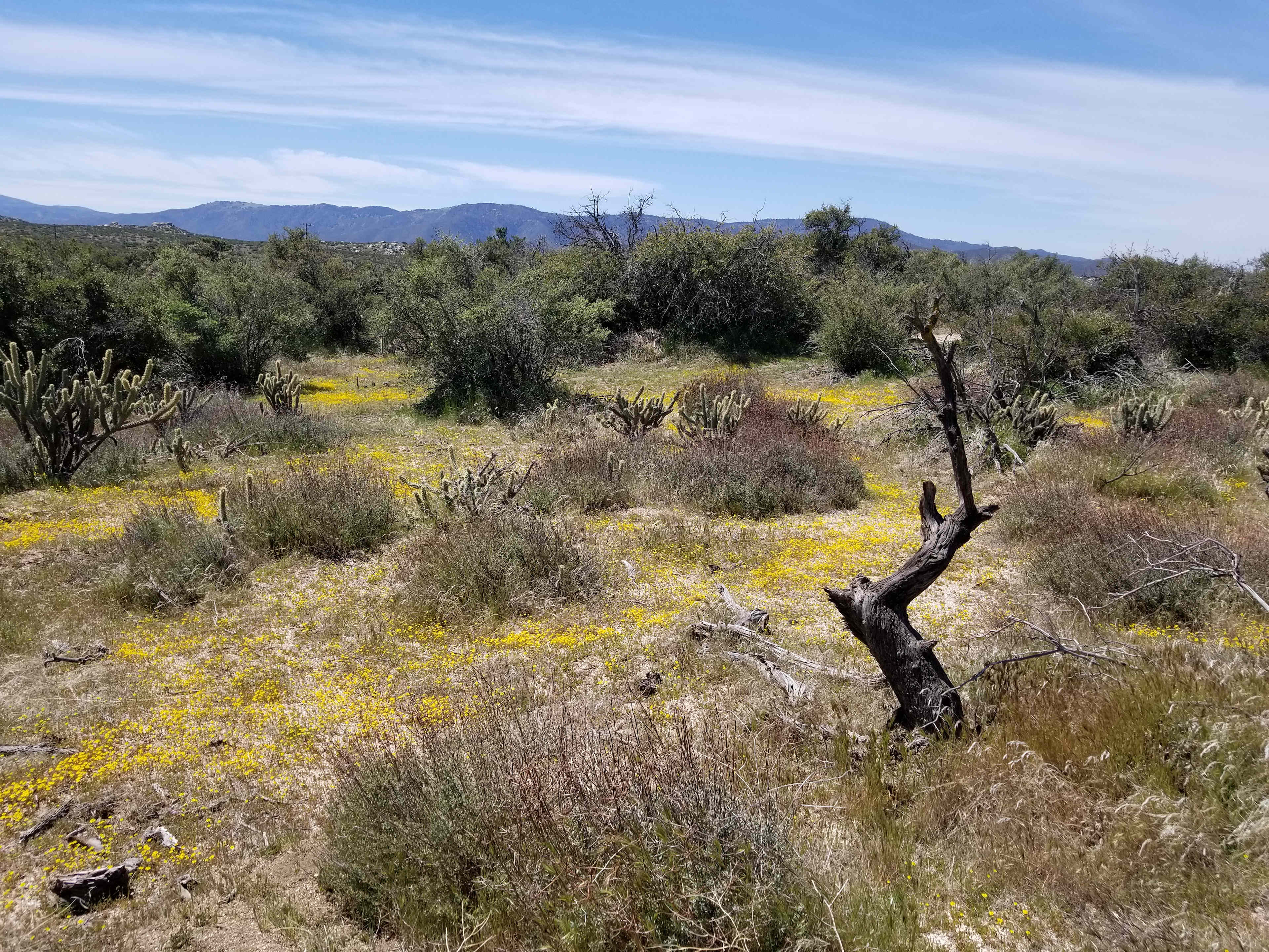 Montezuma Valley Campground