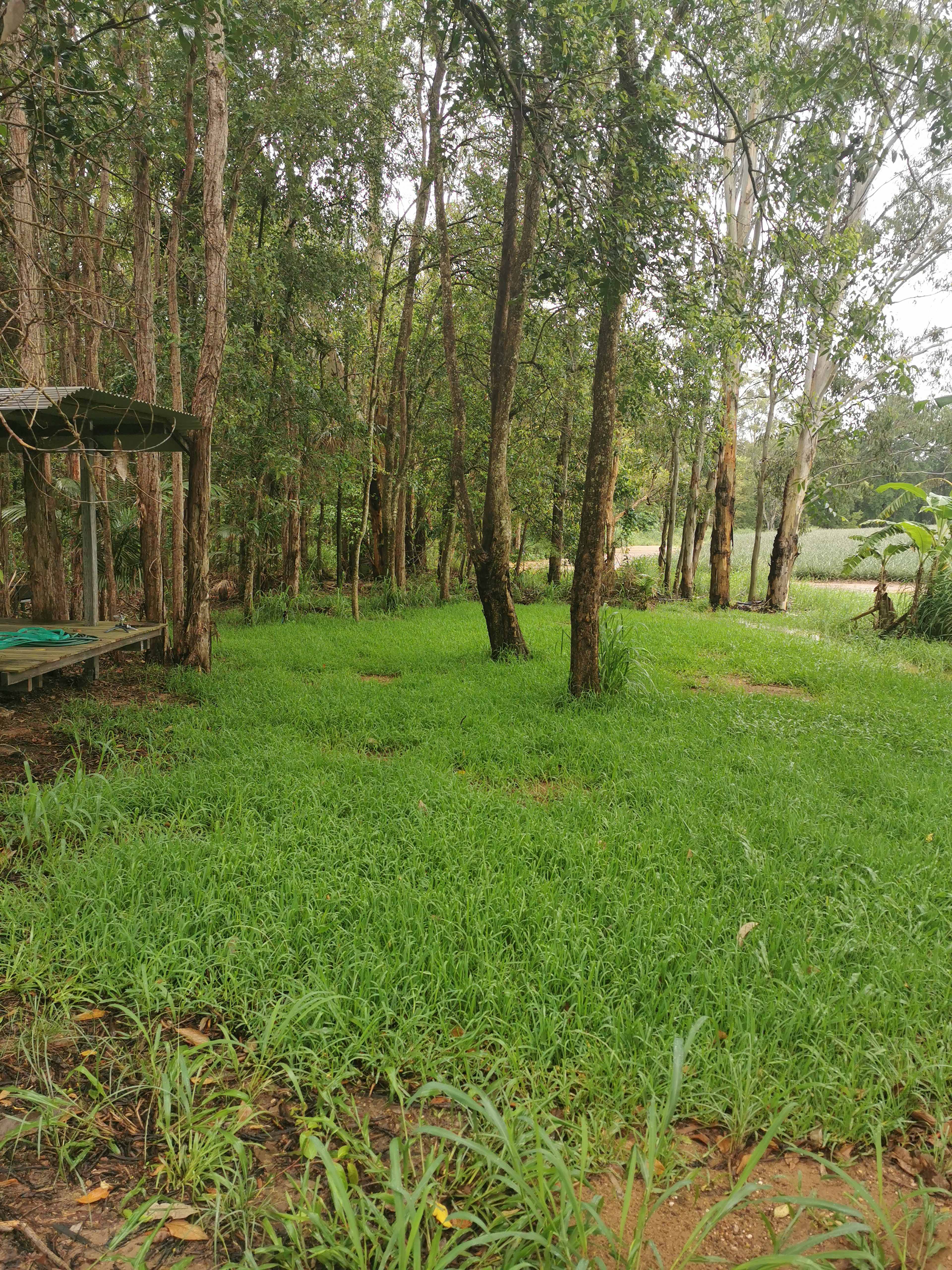 Quails Ridge Farm Stay