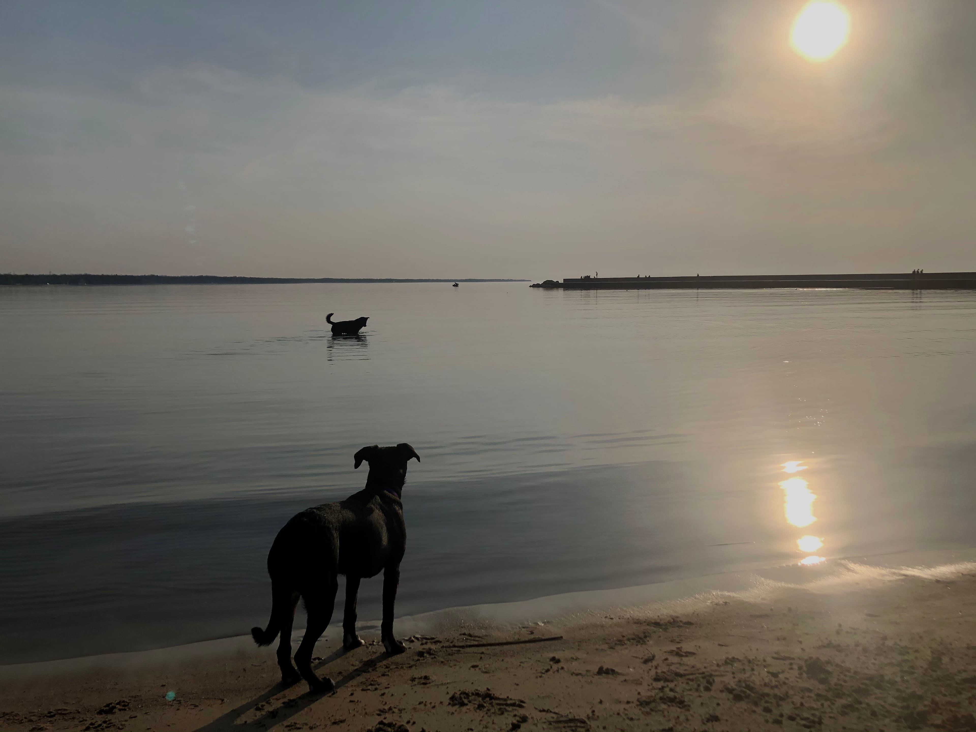 Time at the Shores