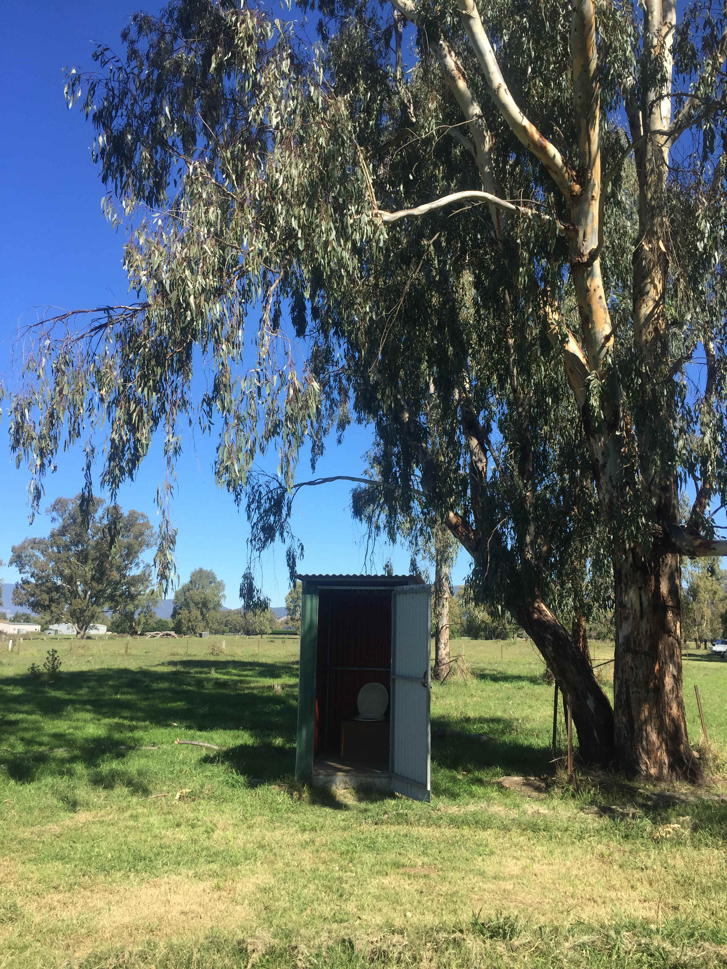 The best drop toilet I’ve been to in a long time 
