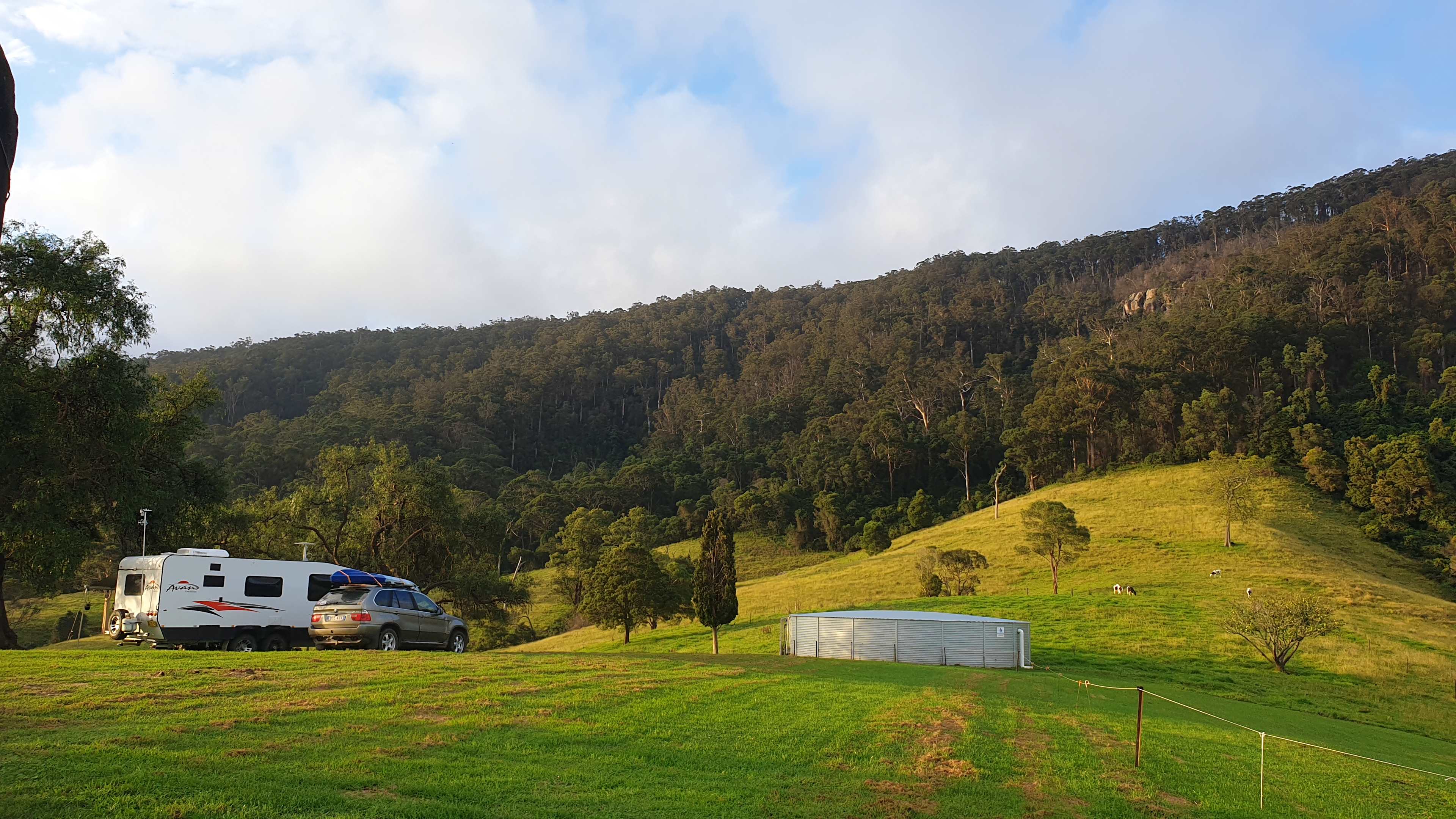 Sapphire Coast Dairy-Homestead