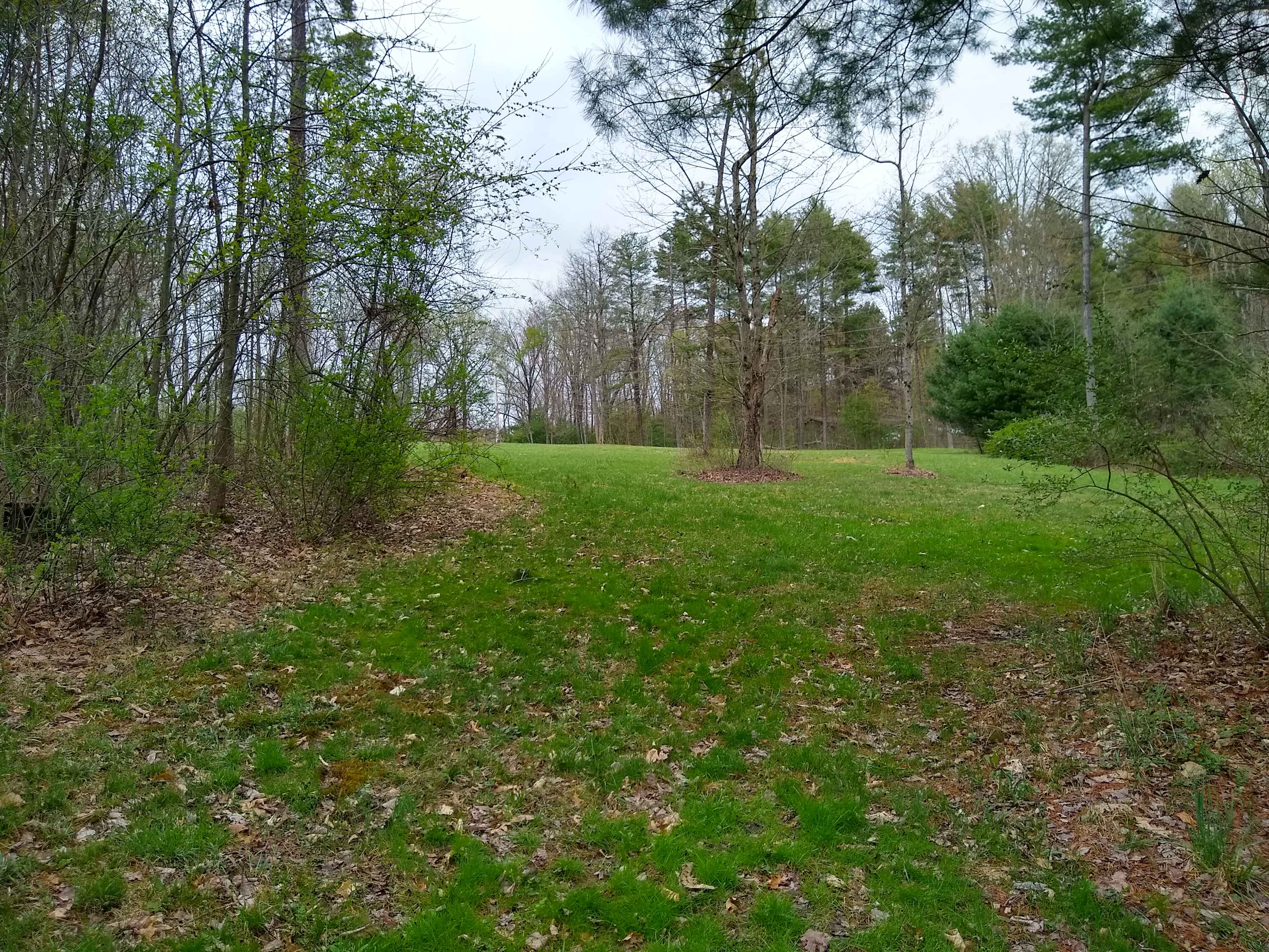 Countryside Corner