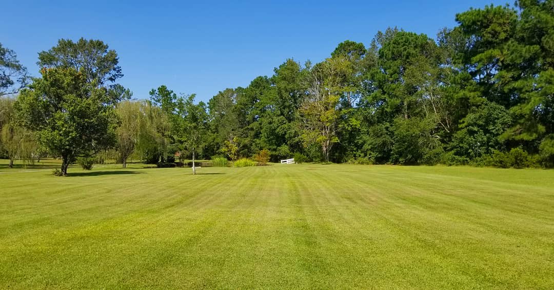 Live Oaks Farm