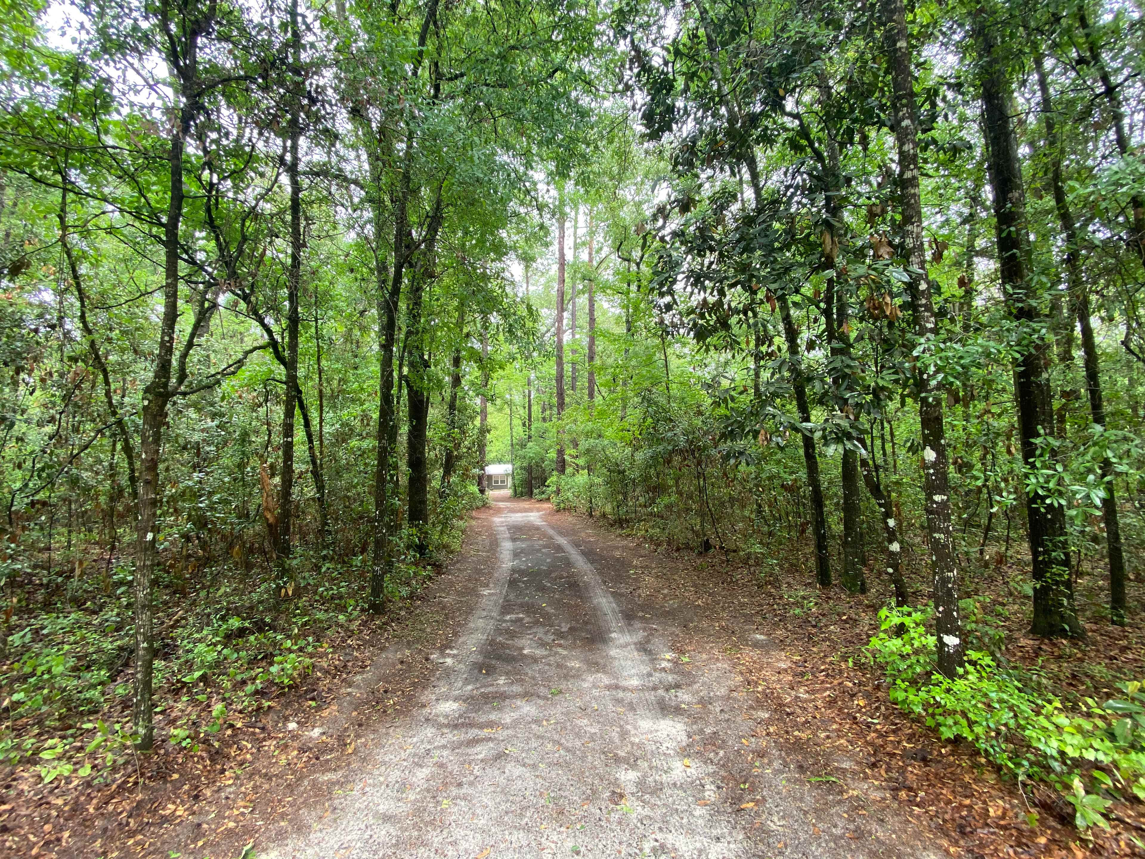 The campsite is totally private and surrounded by trees.